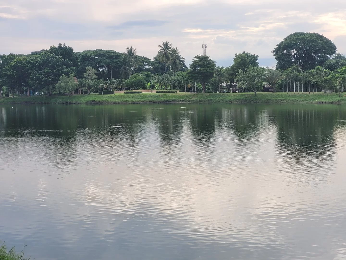 20230711_074038.jpg