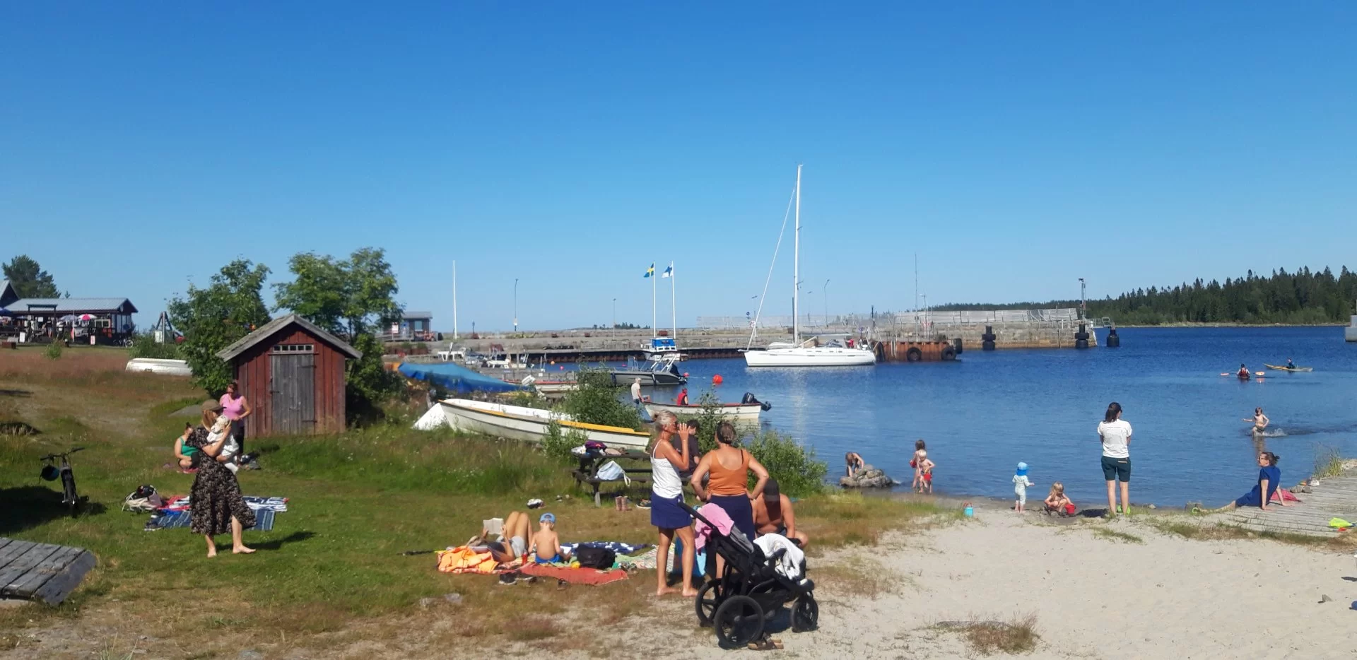 20230711_150658.webp