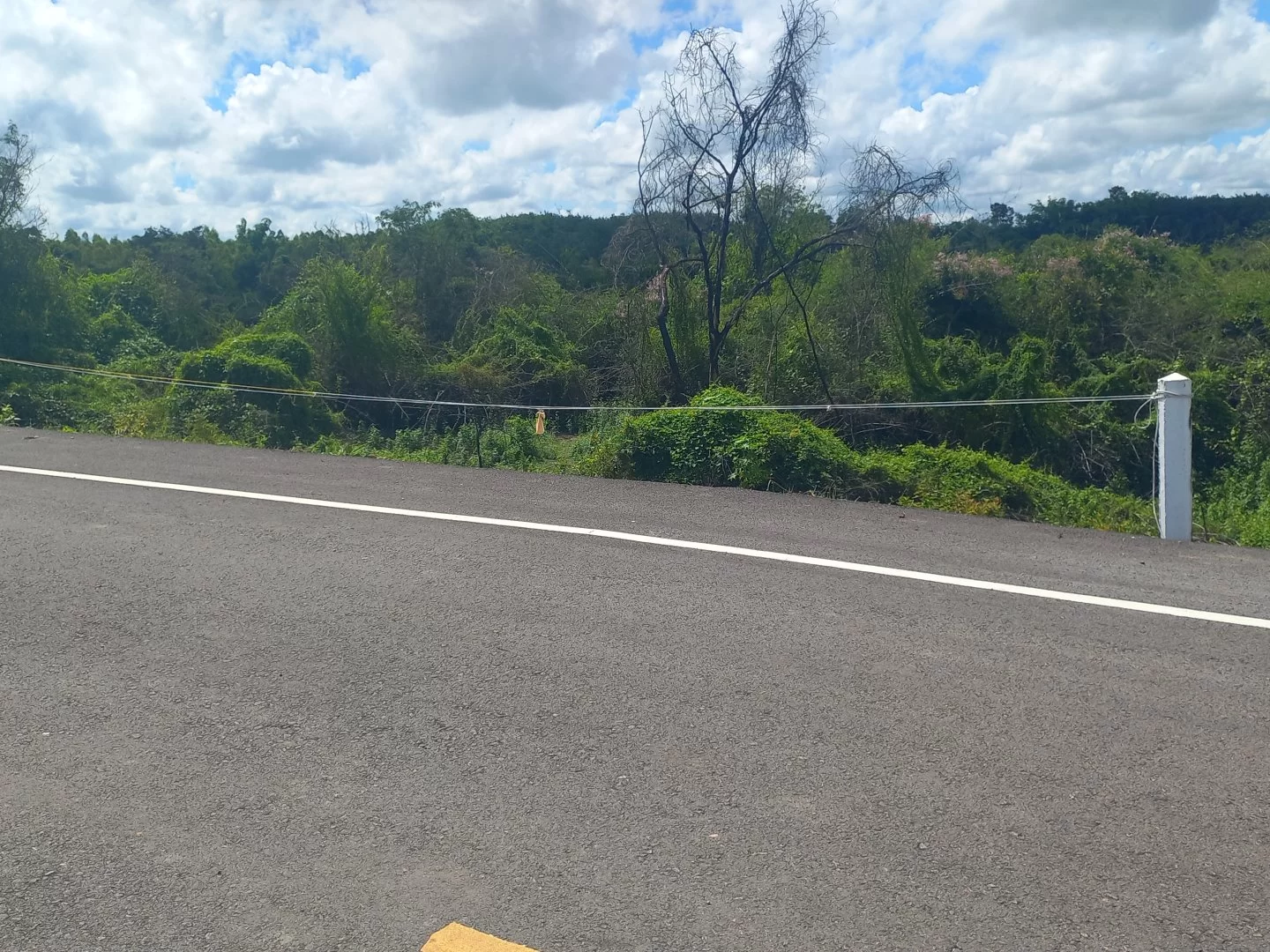 20230724_095835.webp