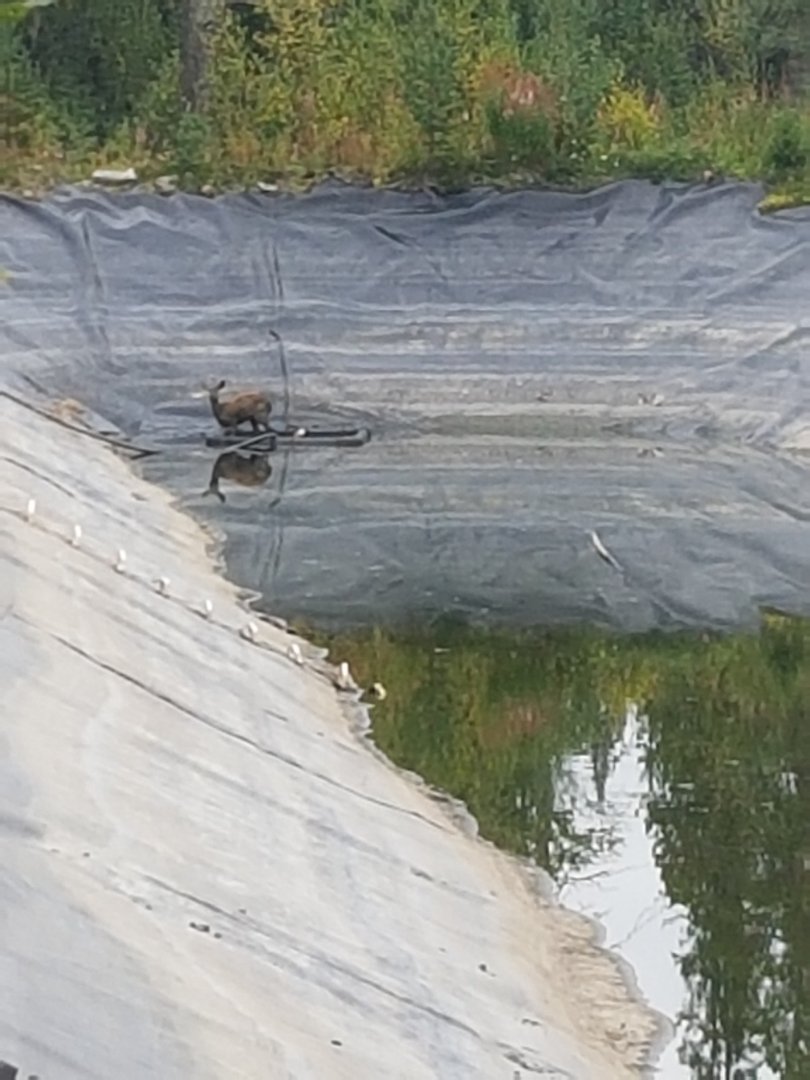 20230828_090355.jpg