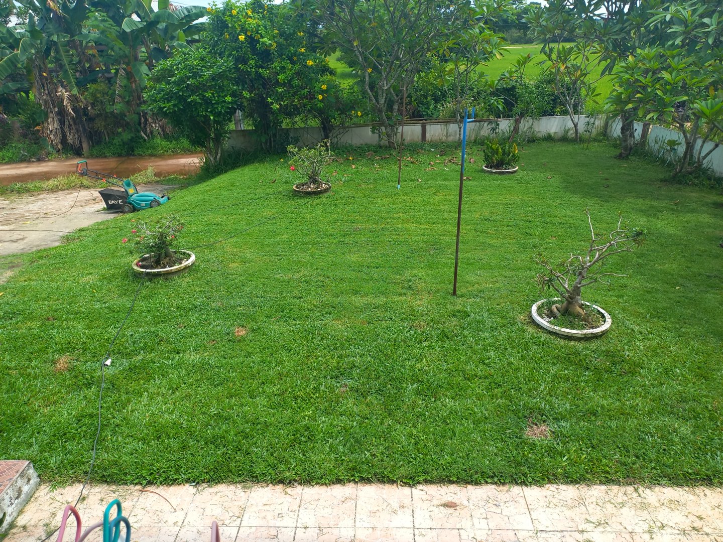 20230830_105202.jpg