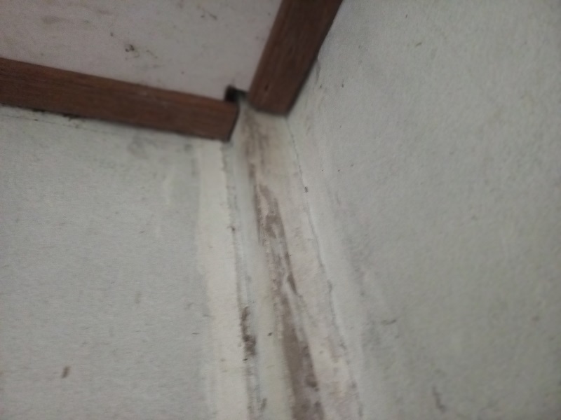 20230905_112221.jpg
