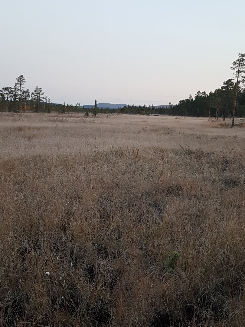 20230914_053741.jpg