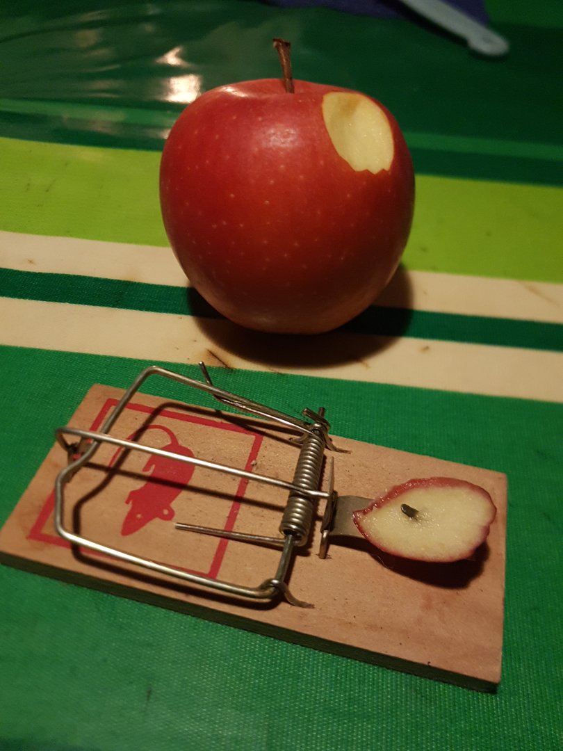 20230914_214042.jpg