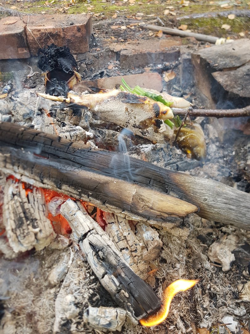 20230915_130640.jpg