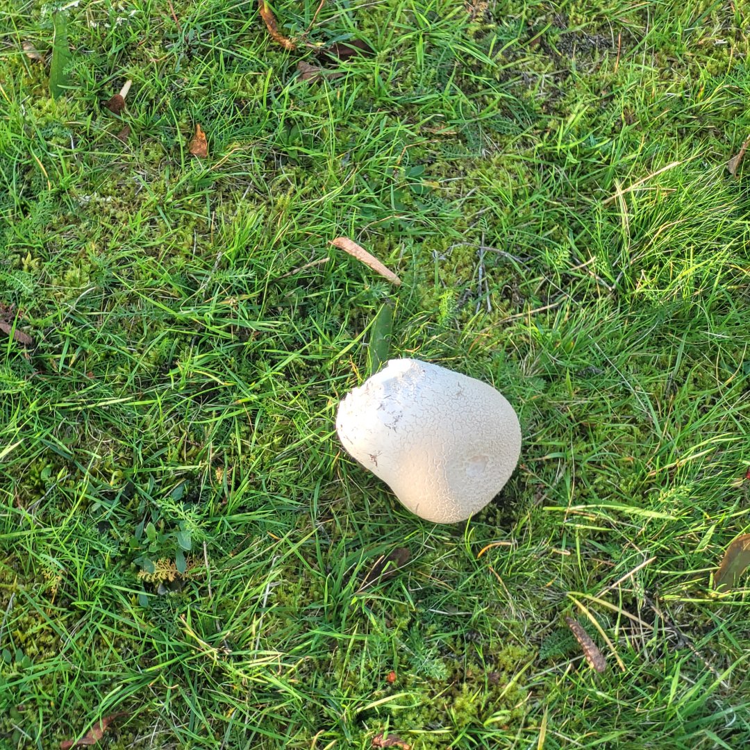 20230923_163241.jpg