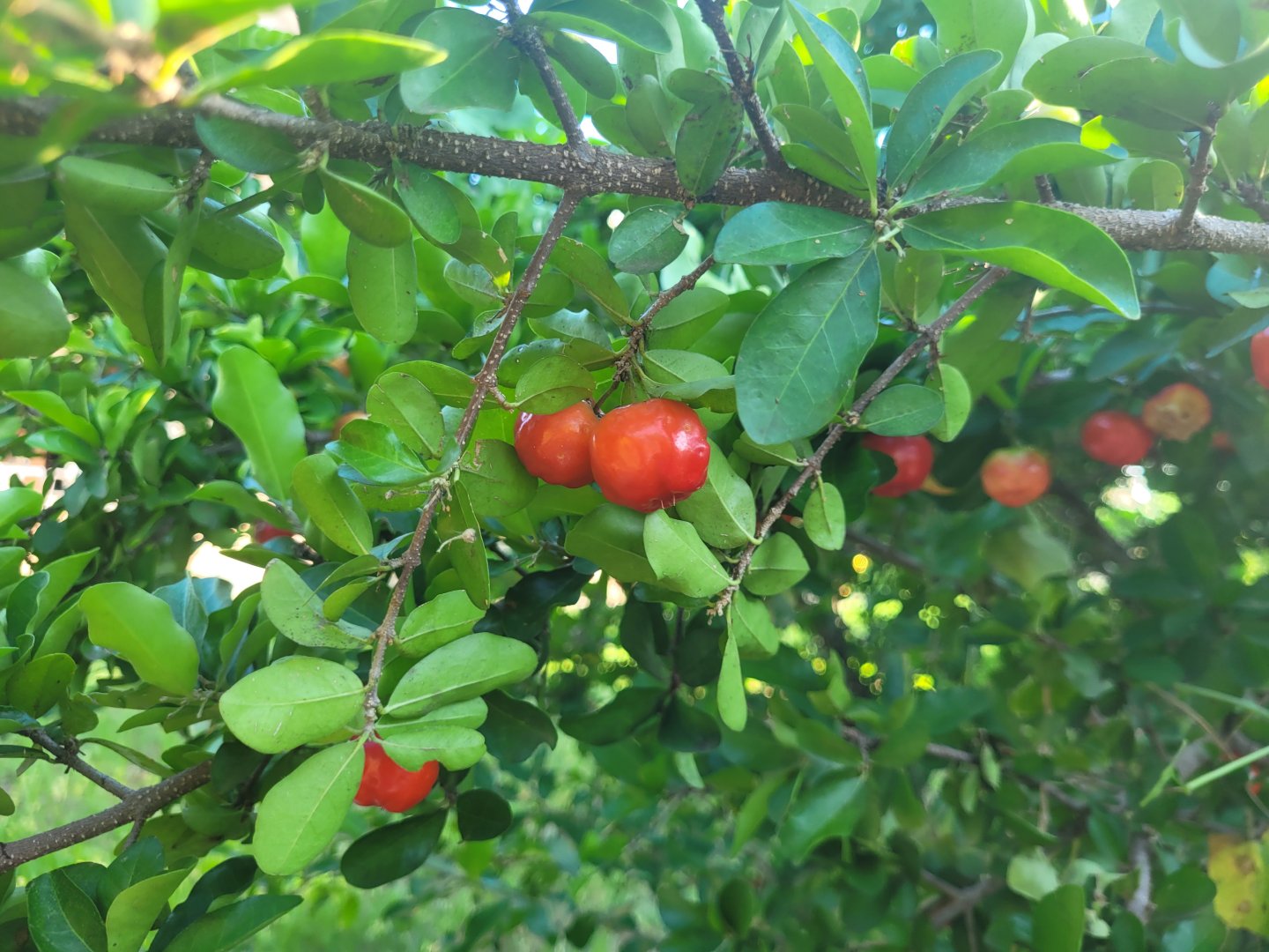 20230924_073254.jpg