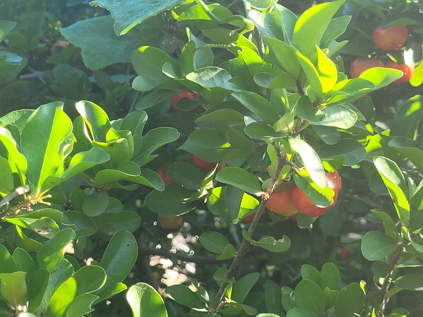 20230924_073318.jpg