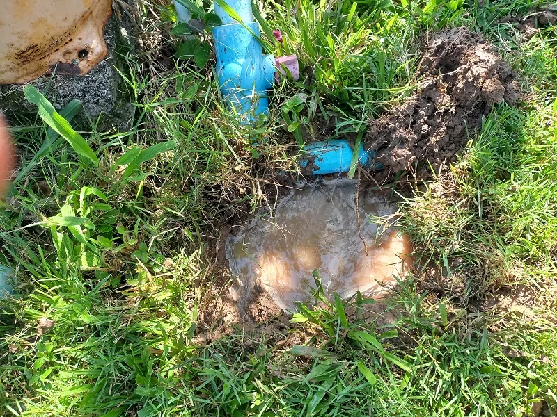 20230924_091315.jpg
