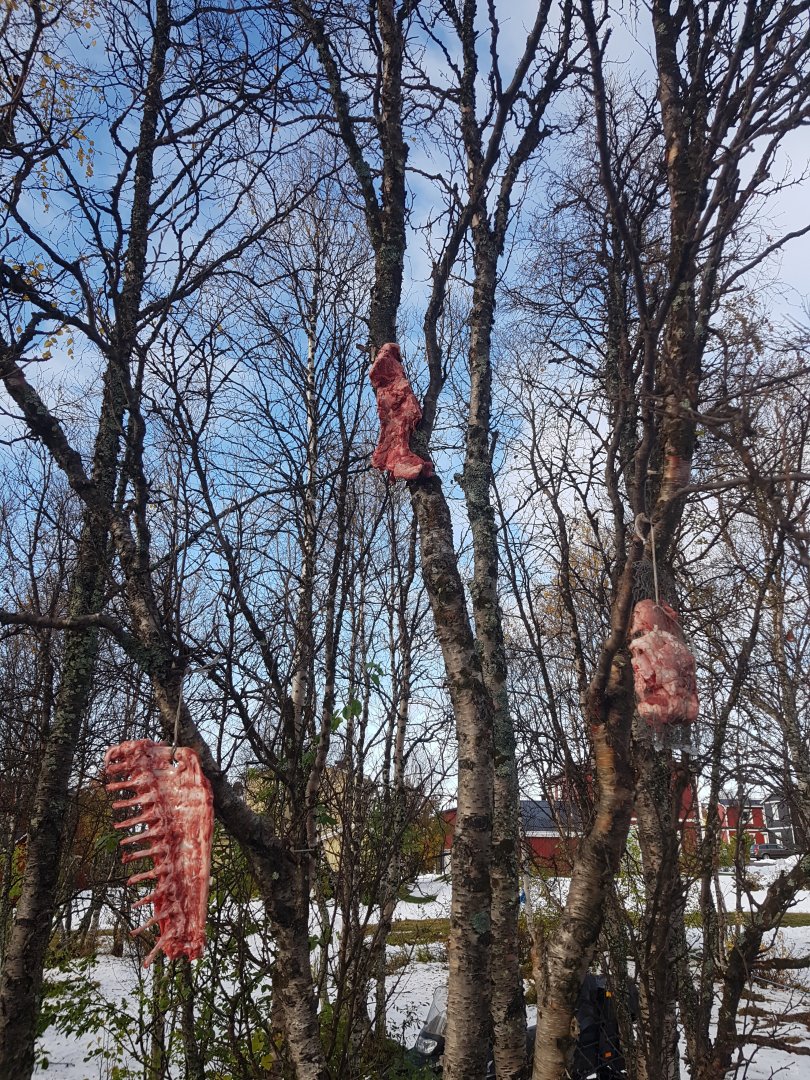 20230924_092712.jpg