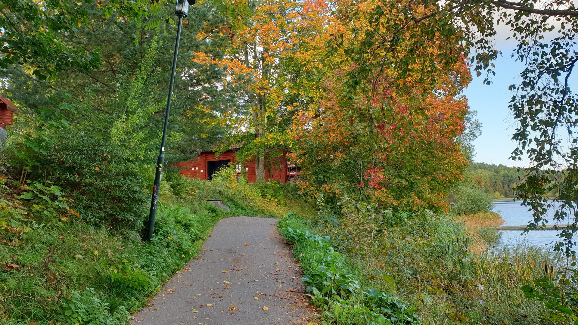 20230924_105312.jpg