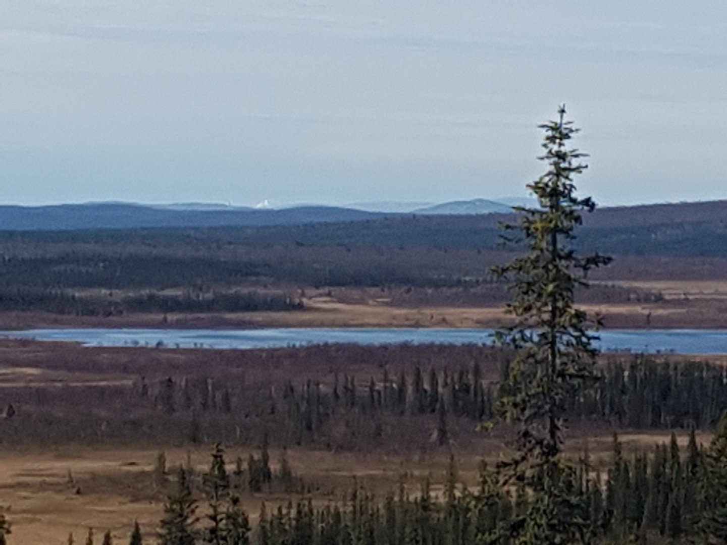 20230925_110130.jpg