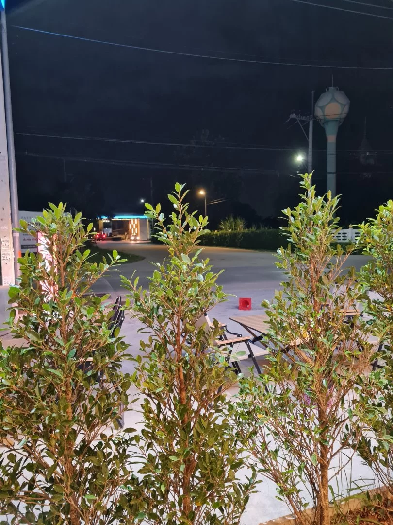 20231101_193910.webp