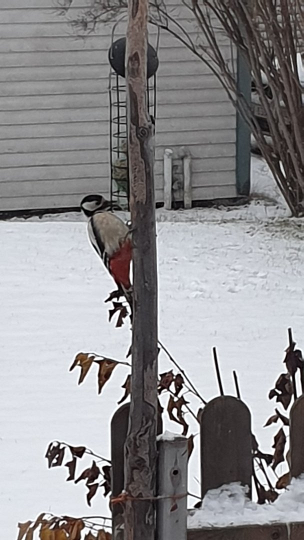 20231114_151507.jpg