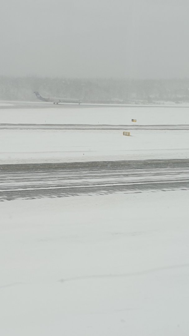 20231128_124630.jpg