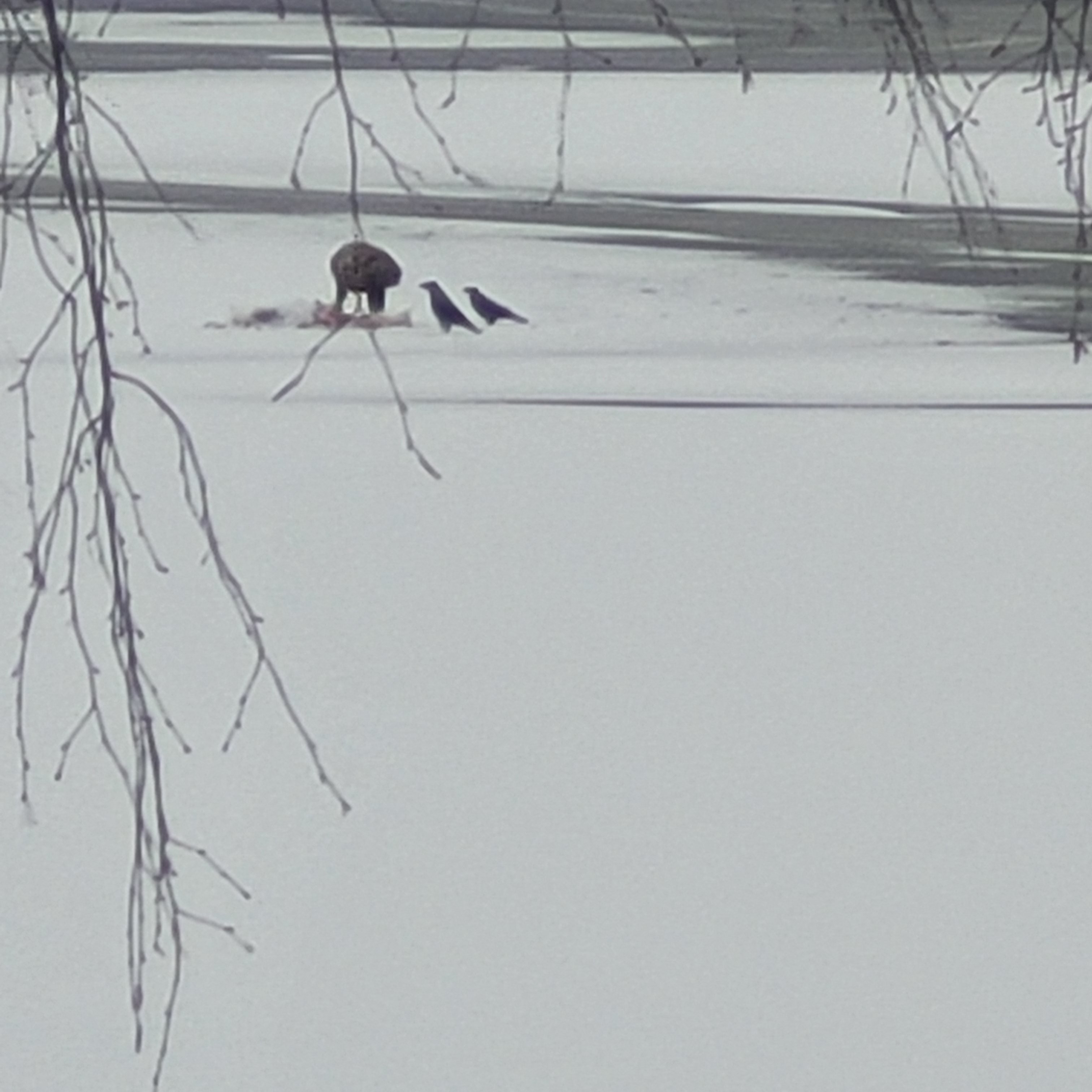 20240207_091924.jpg