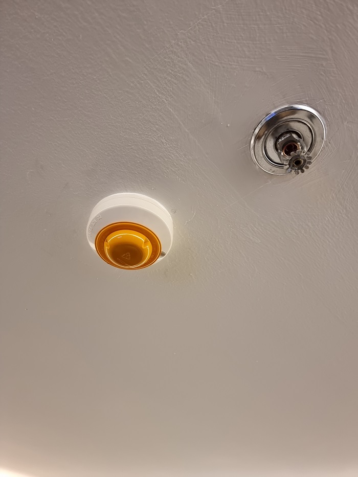 20240210_171228.jpg