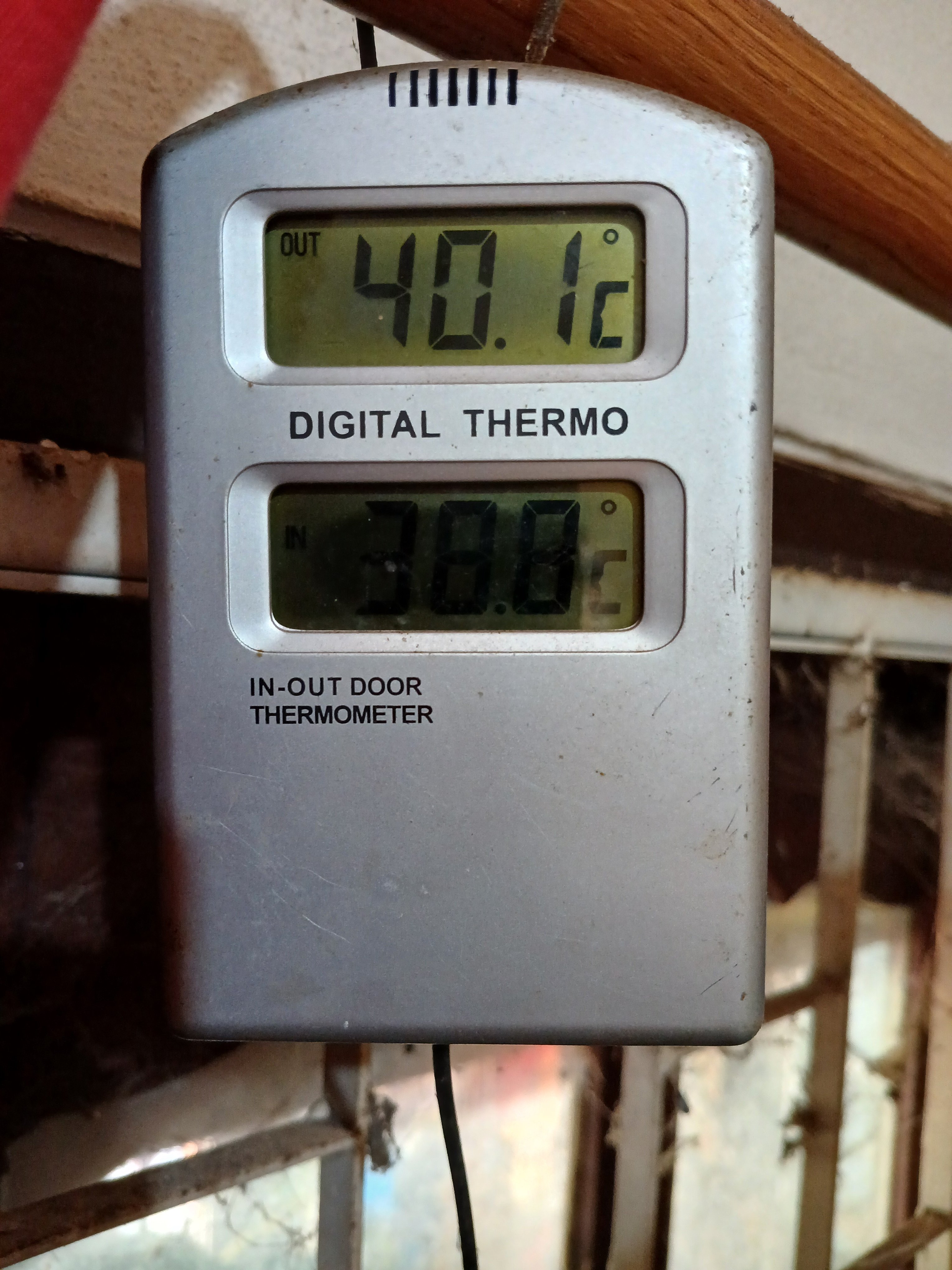 20240402_160001.jpg