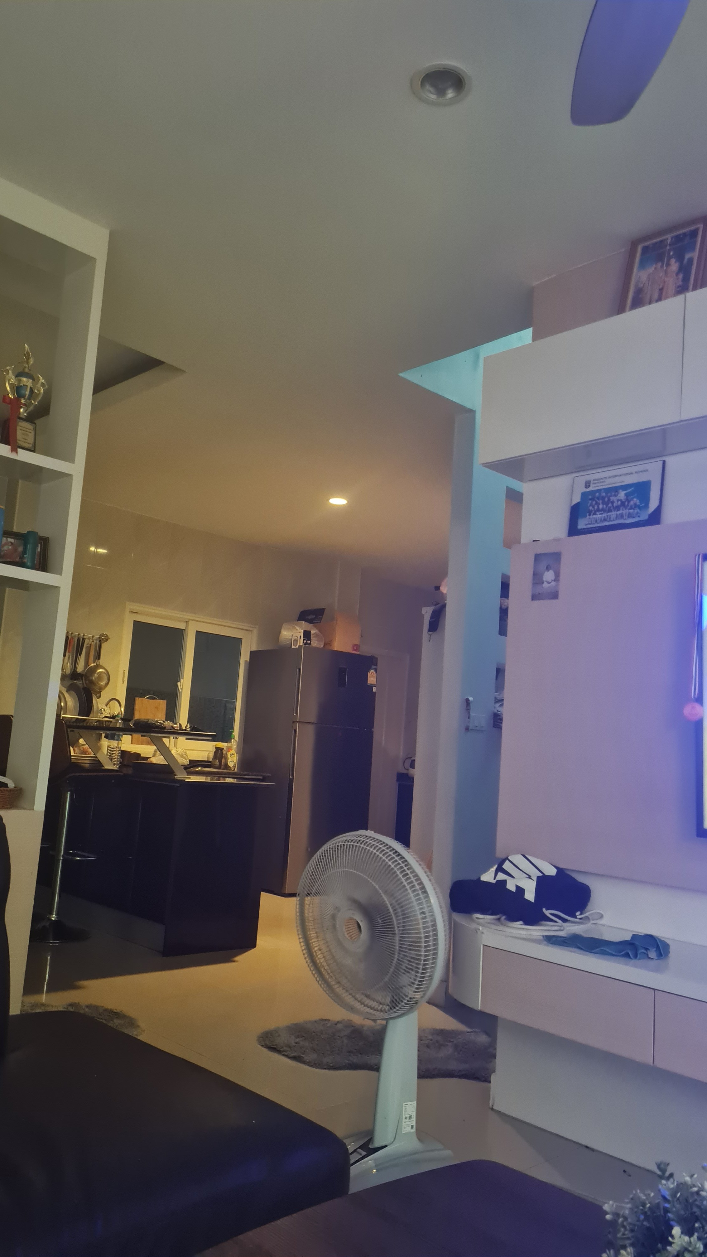 20240412_181119.jpg