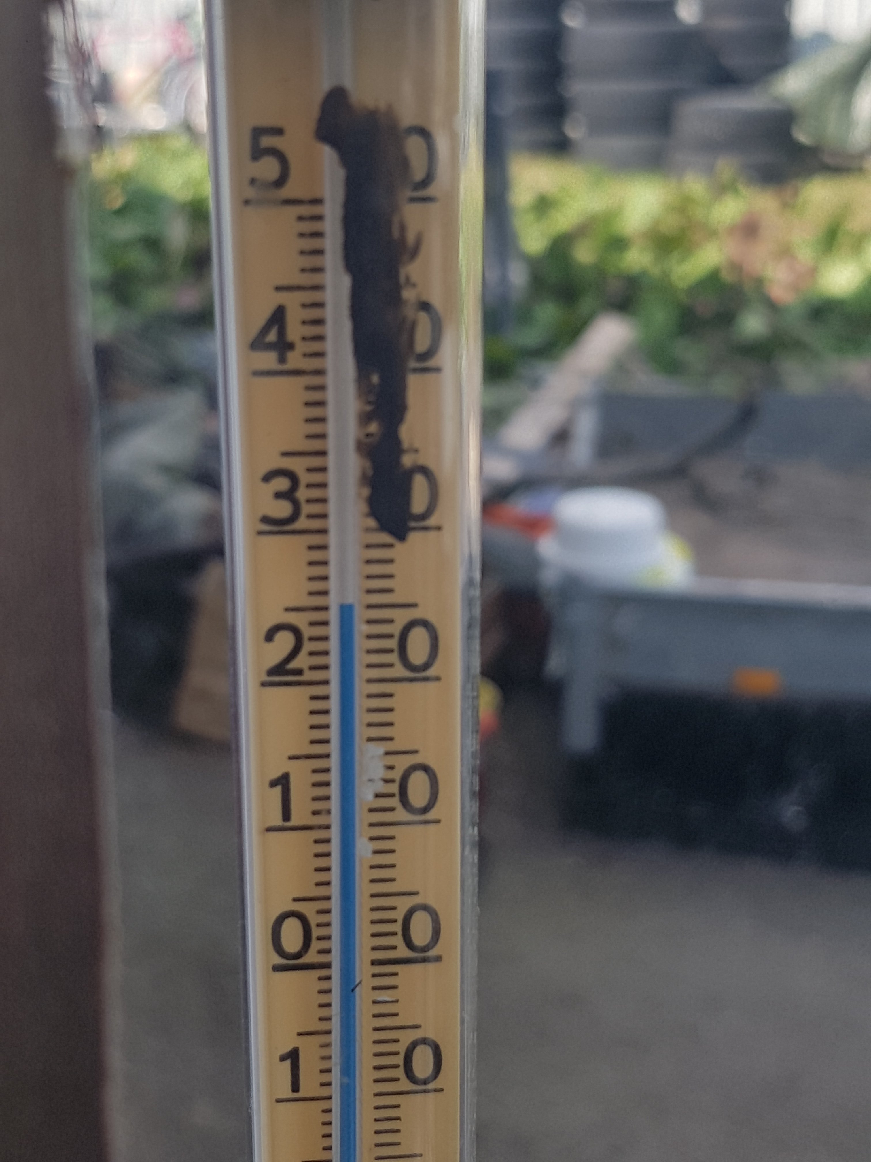20240527_124737.jpg
