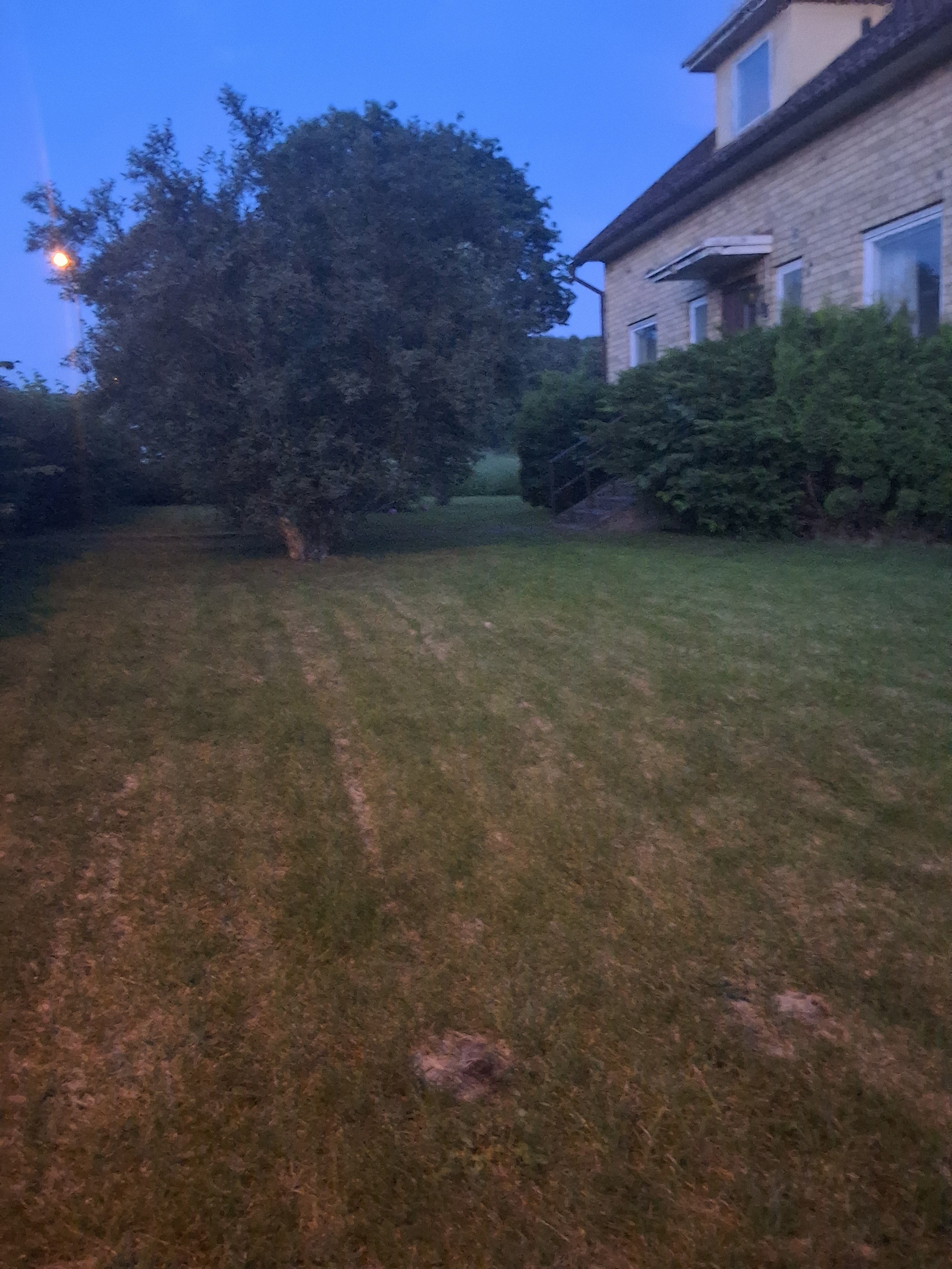 20240624_231648.jpg