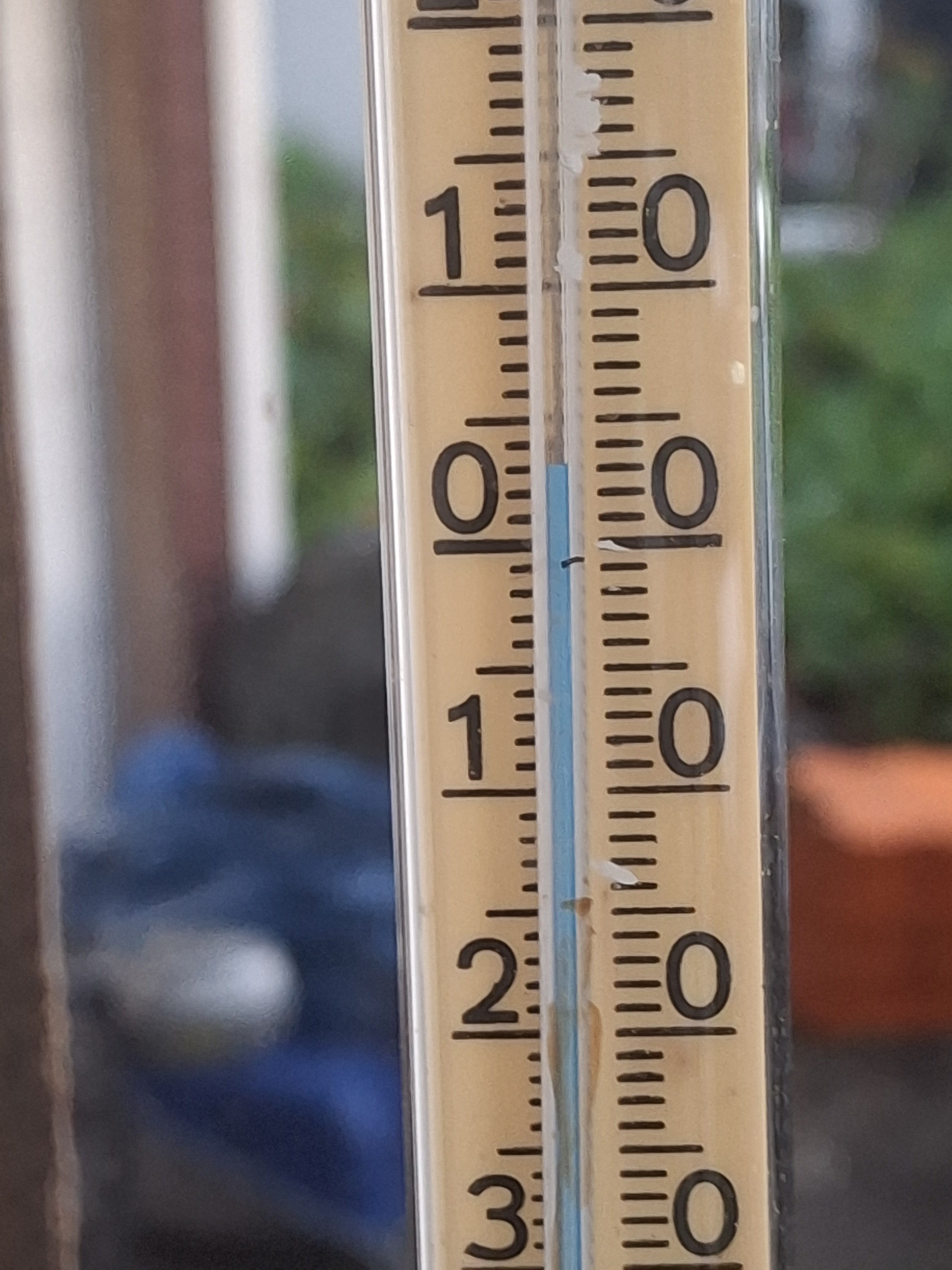 20240825_054951.jpg