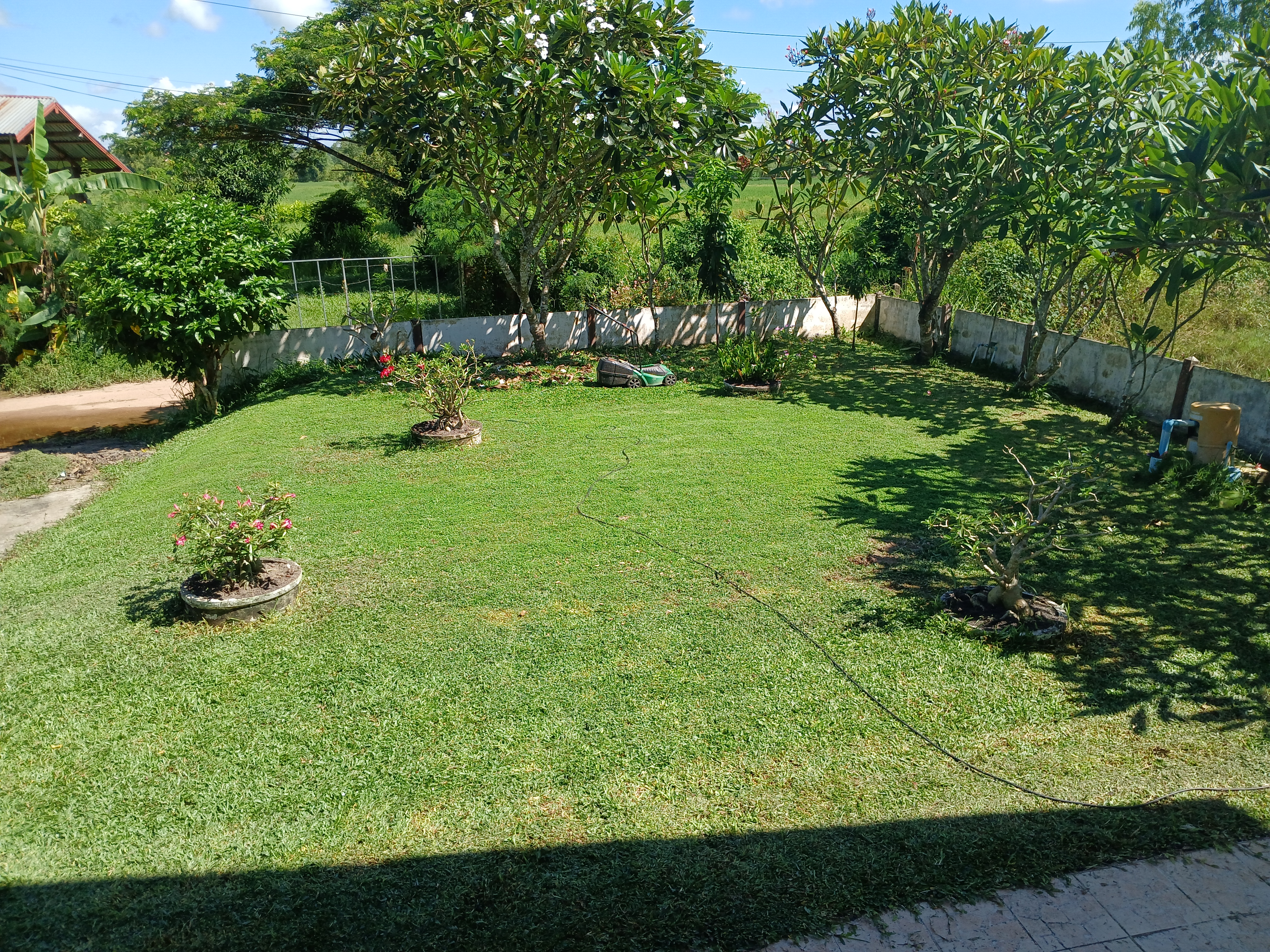20240927_094146.jpg