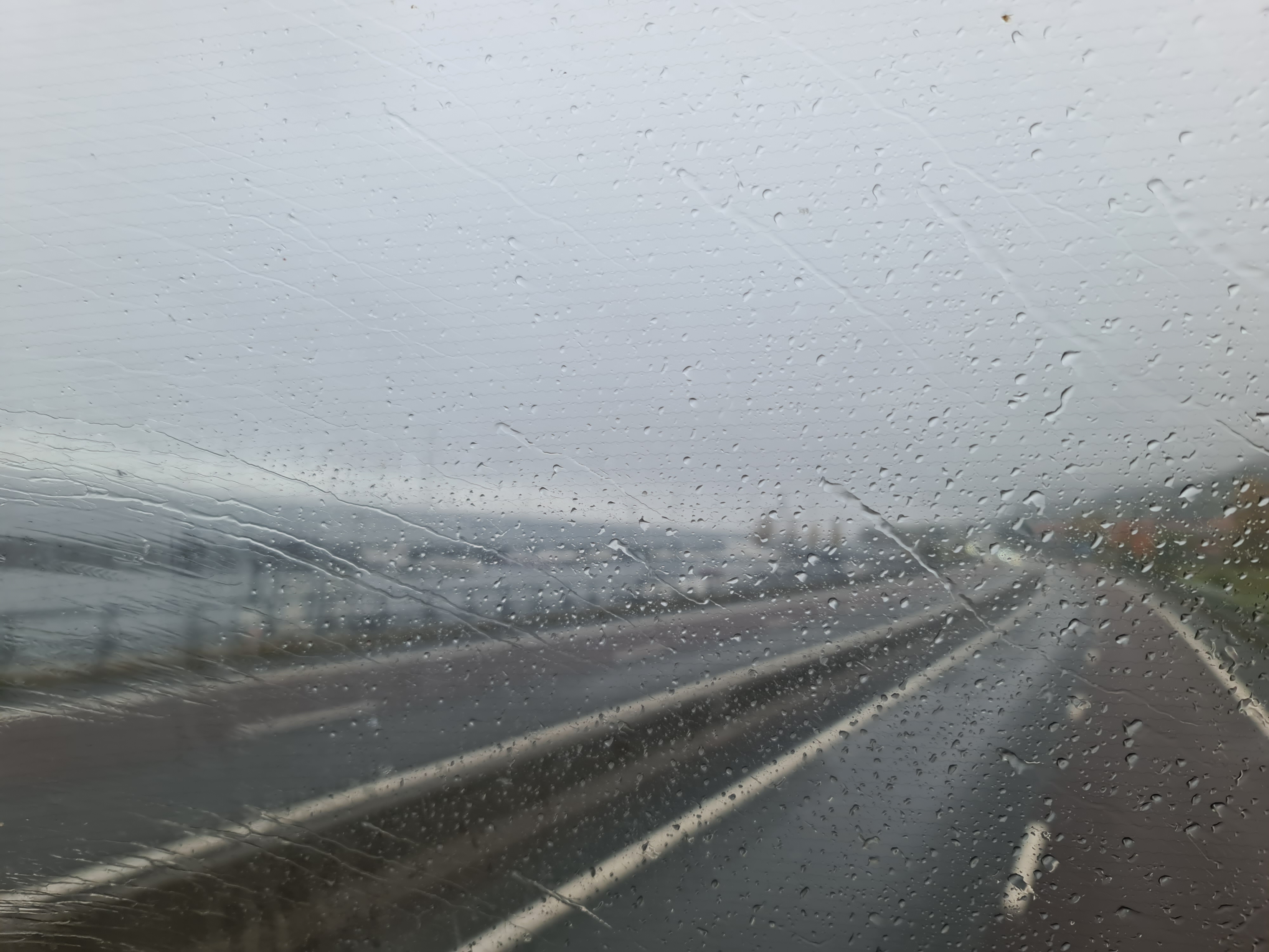 20241010_151633.jpg