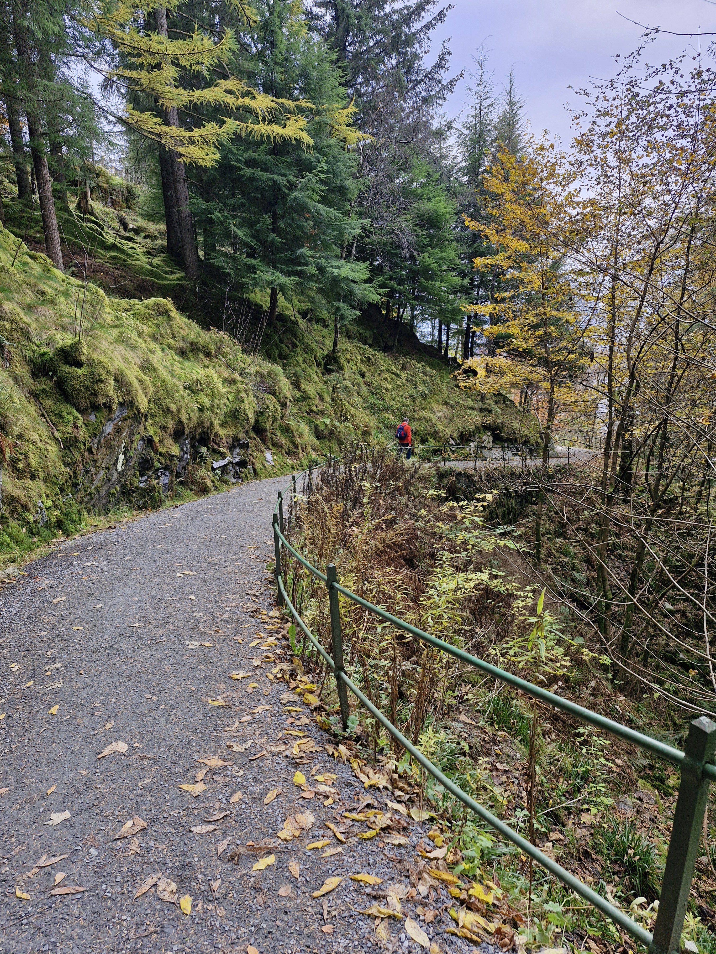20241019_144624.jpg