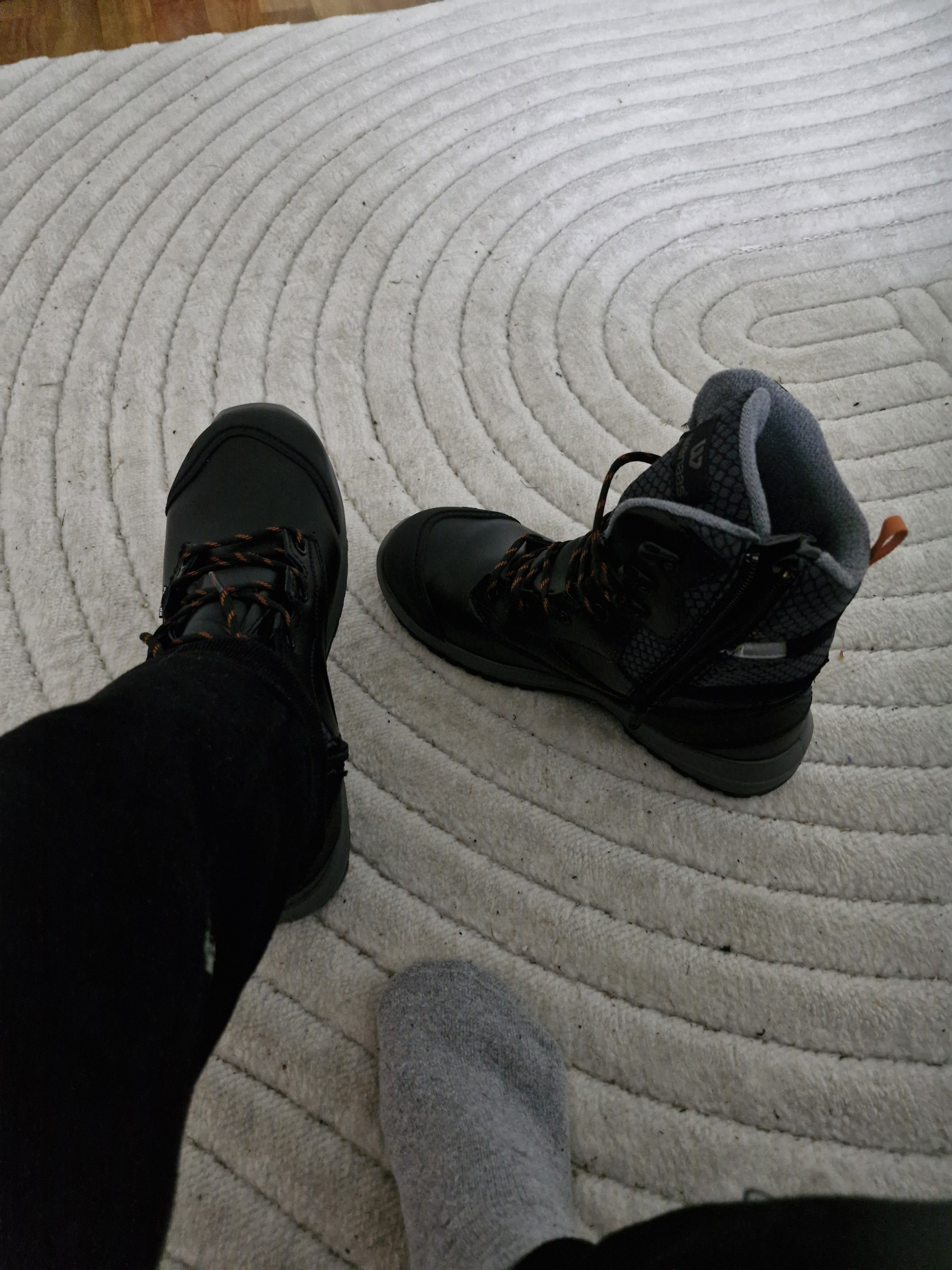 20241114_094121.jpg