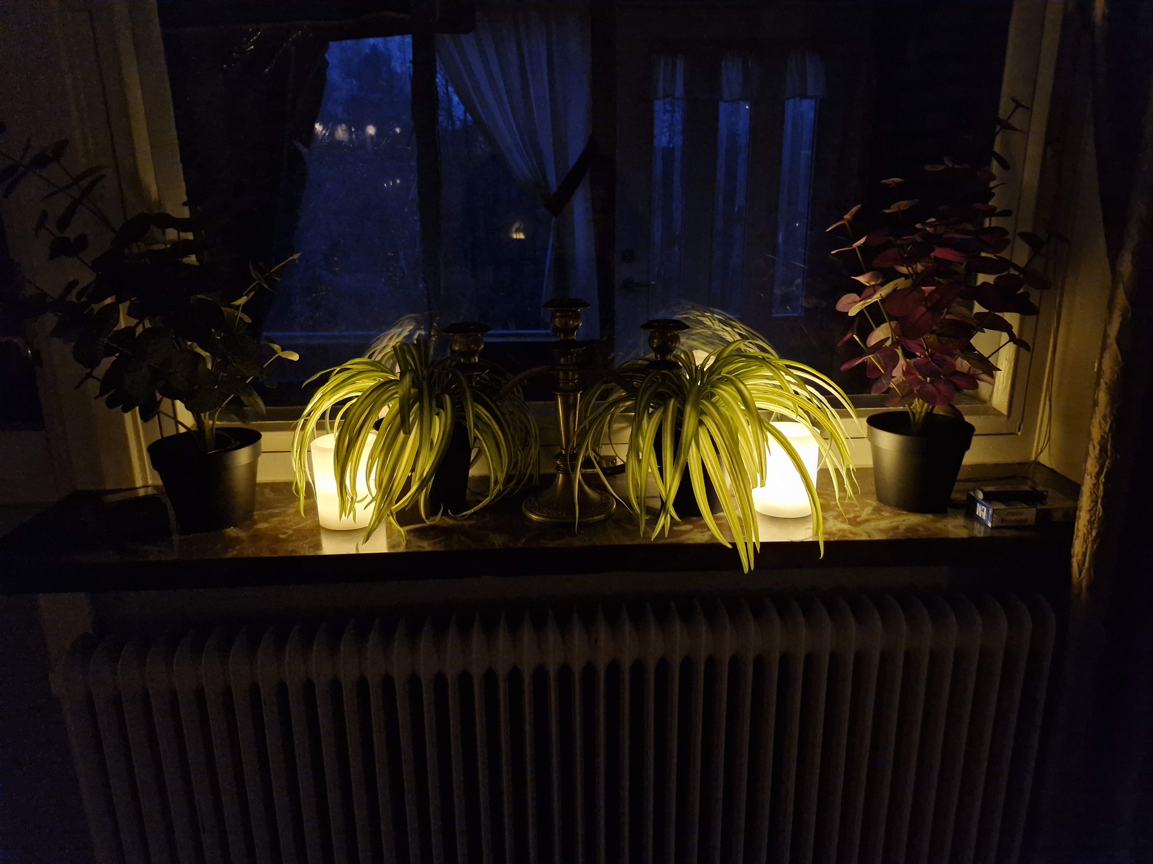 20241115_162708.jpg