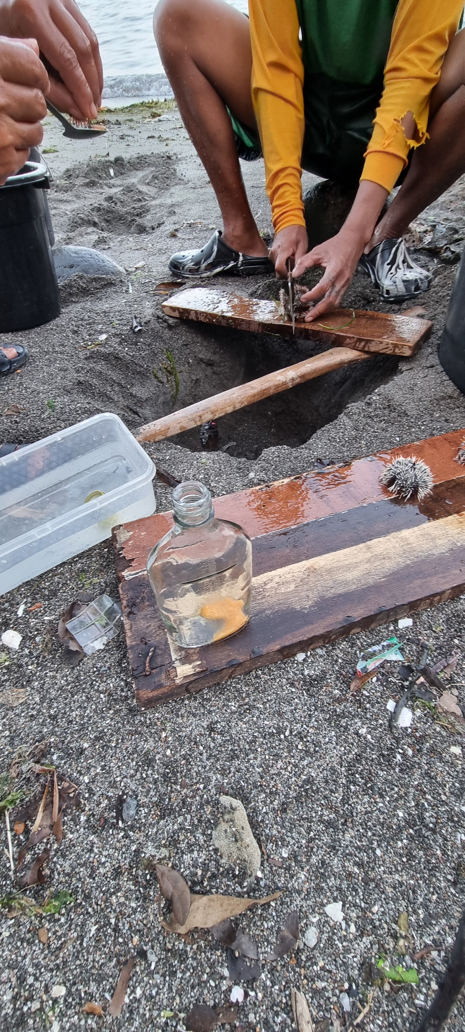 20241115_163323.jpg