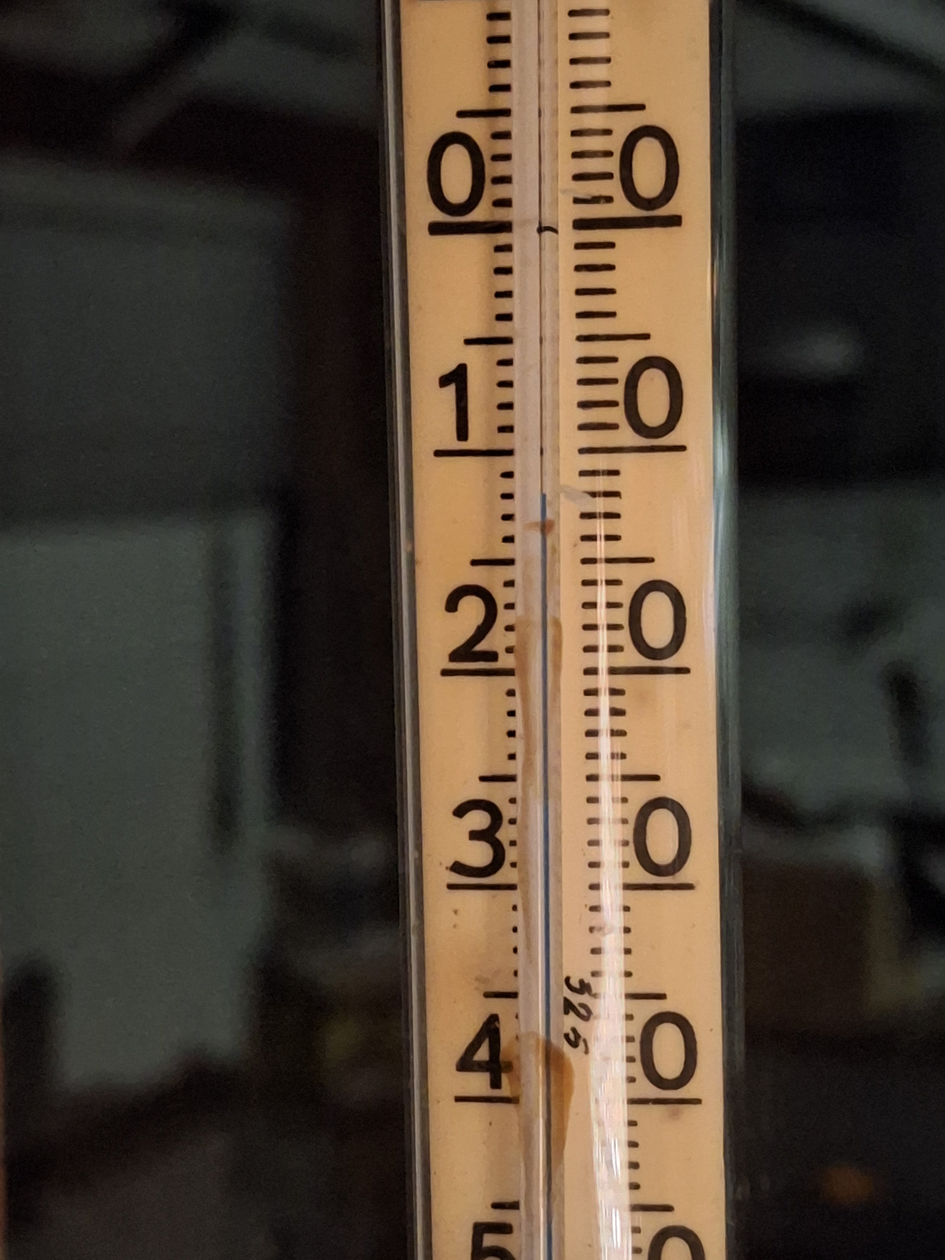 20241204_044403.jpg
