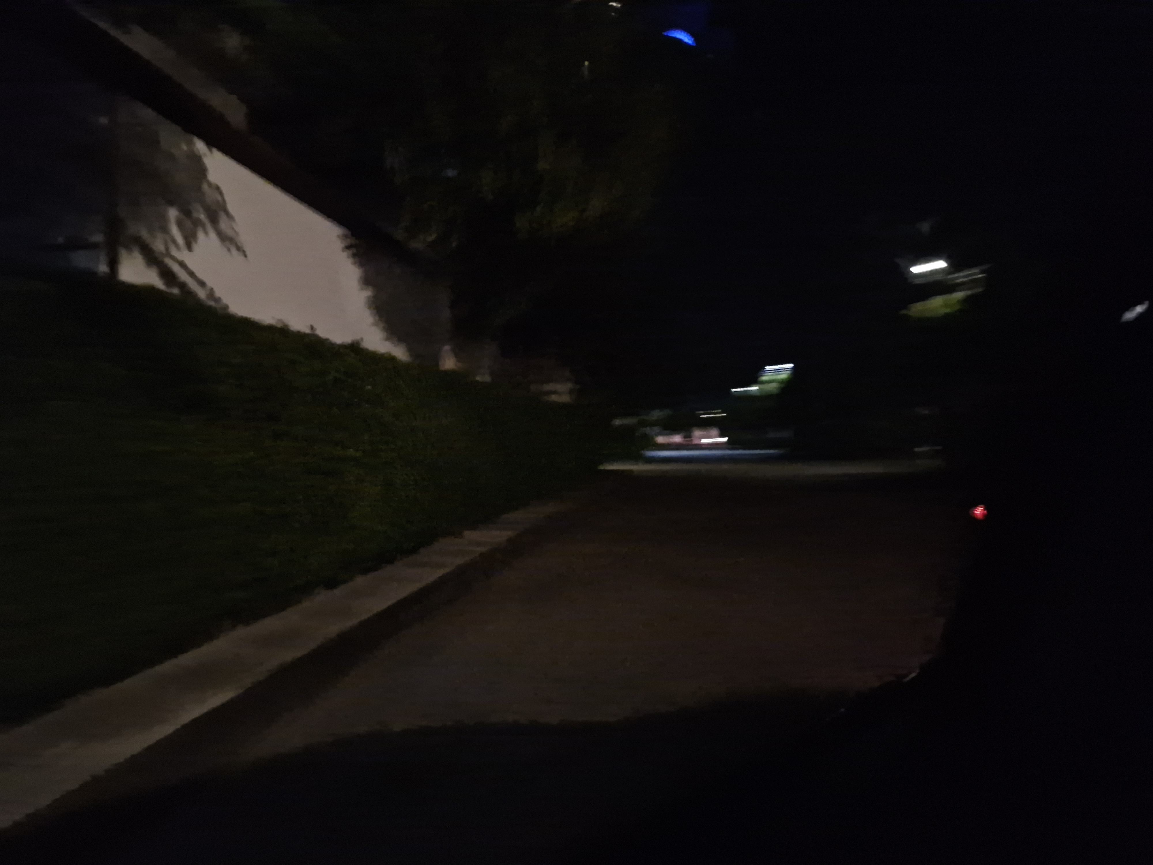 20241207_191019.jpg