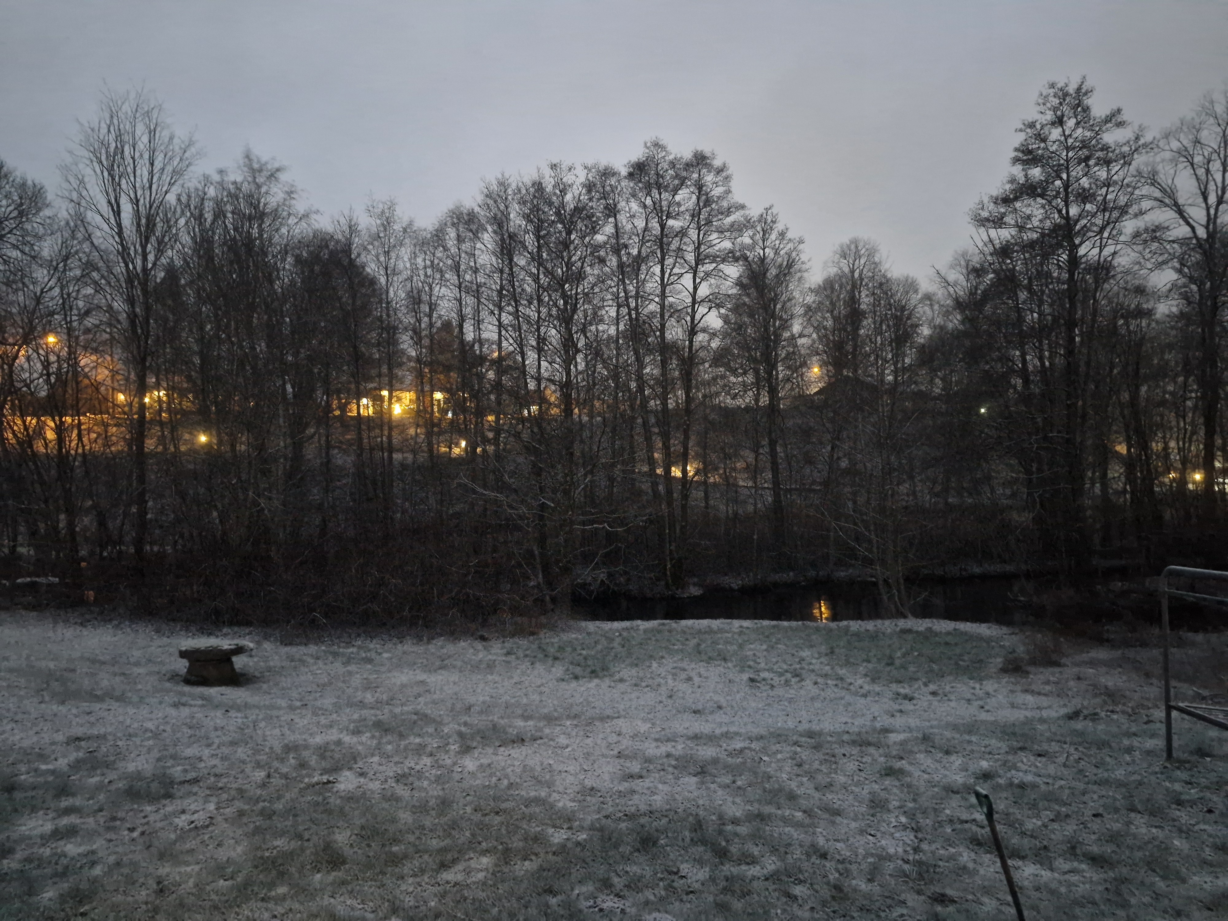20241209_074121.jpg
