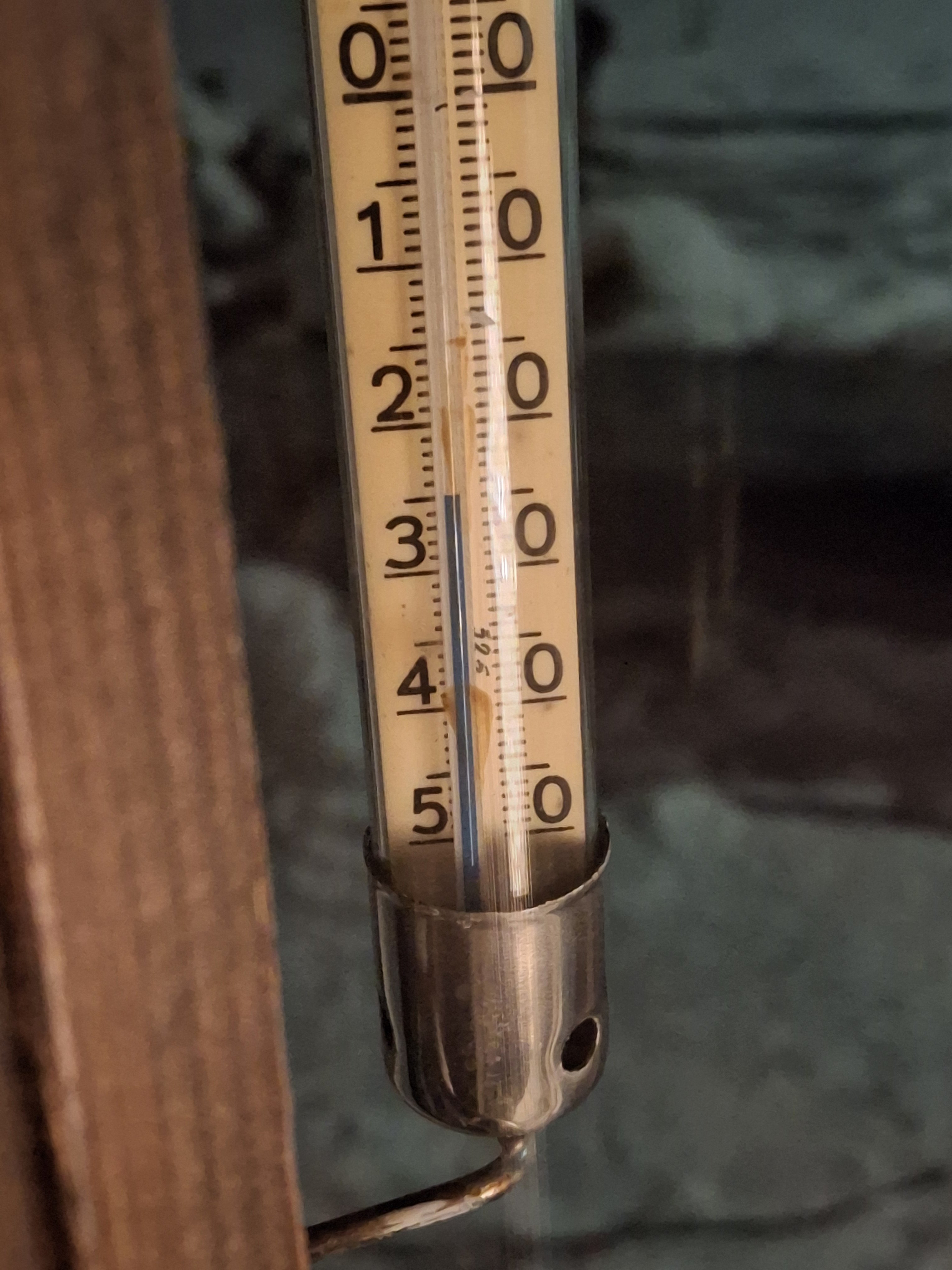 20241218_063339.jpg