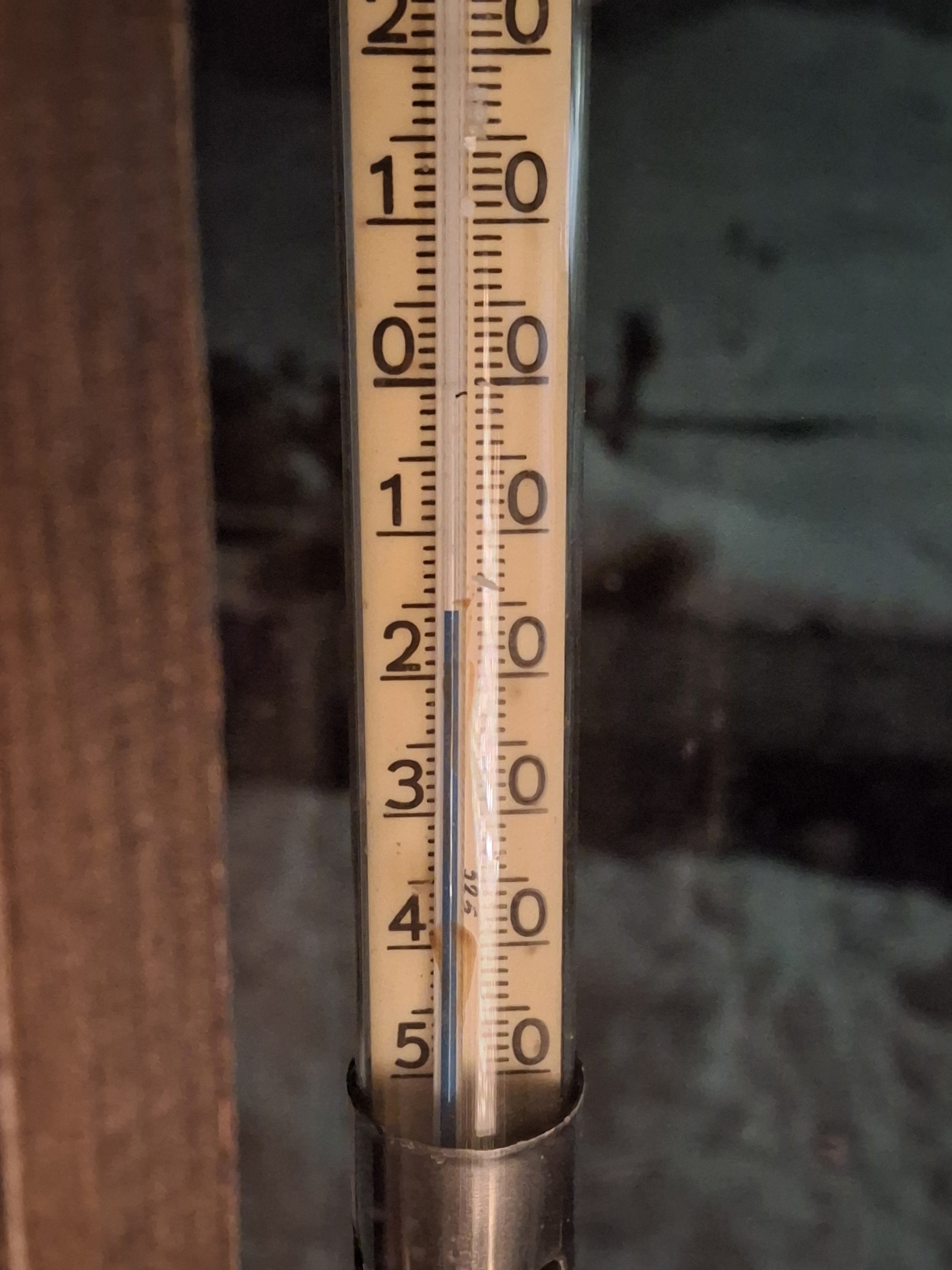 20241231_172523.jpg