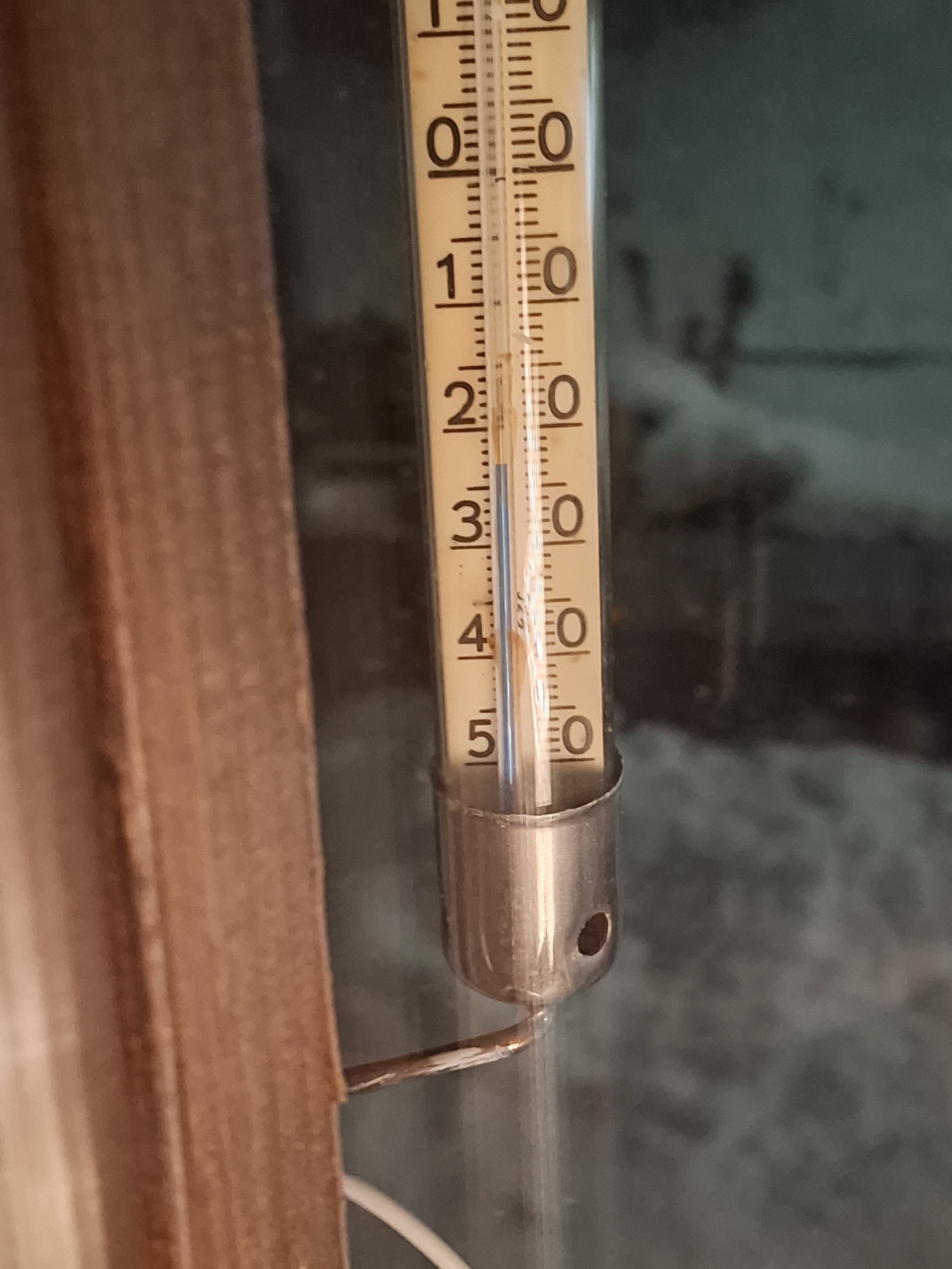 20250102_070337.jpg