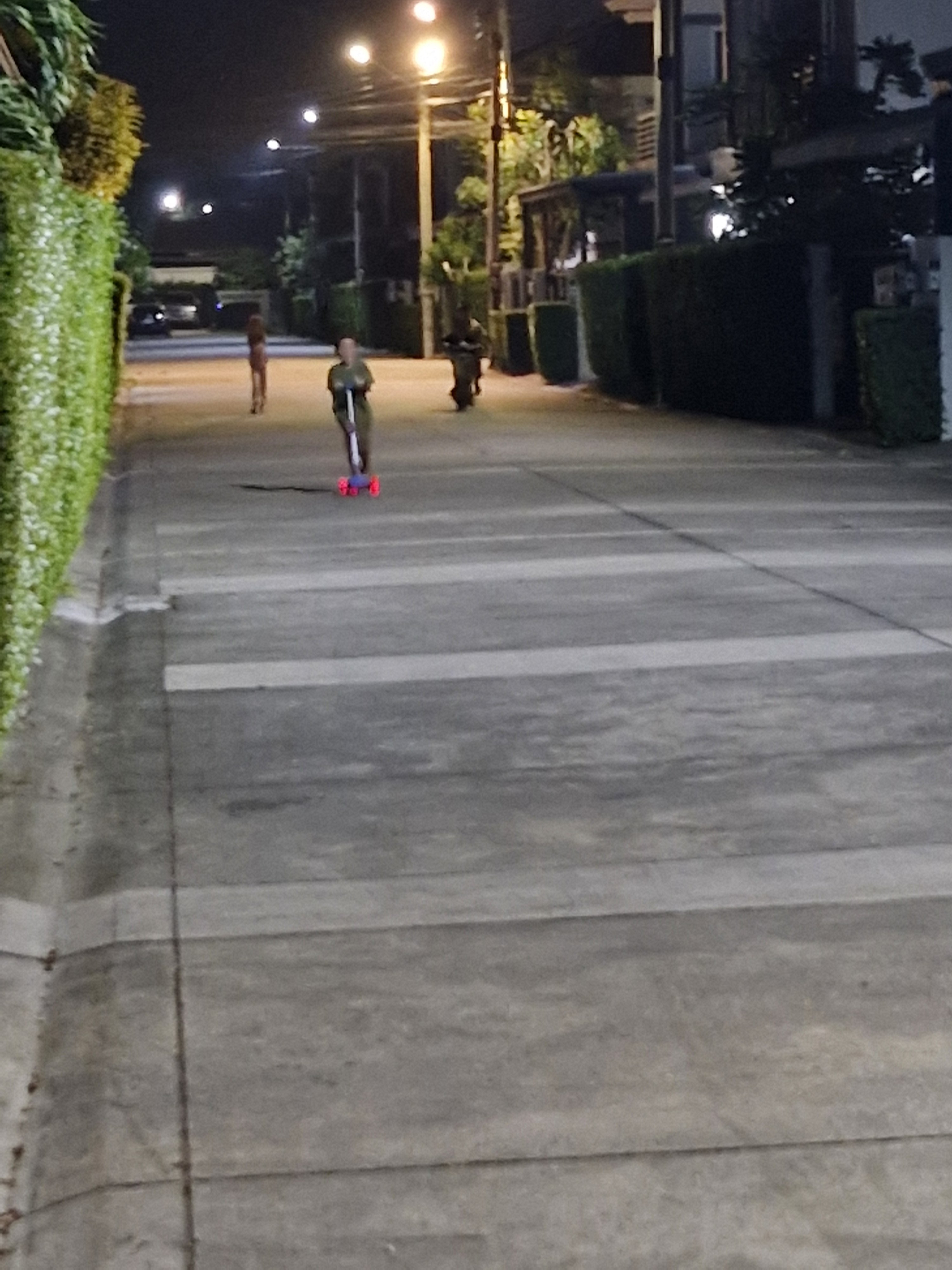 20250117_230925.jpg