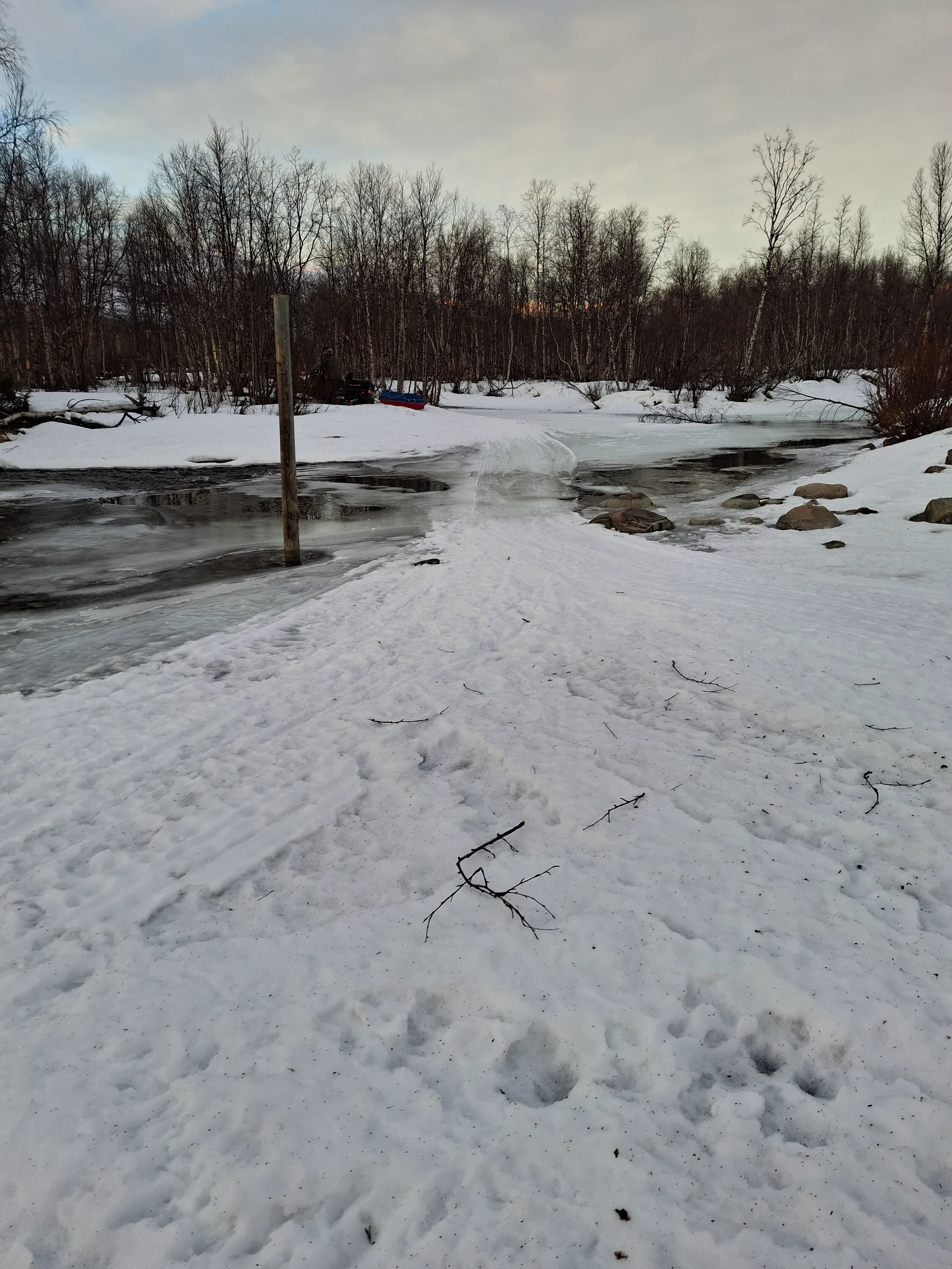20250208_090348.webp