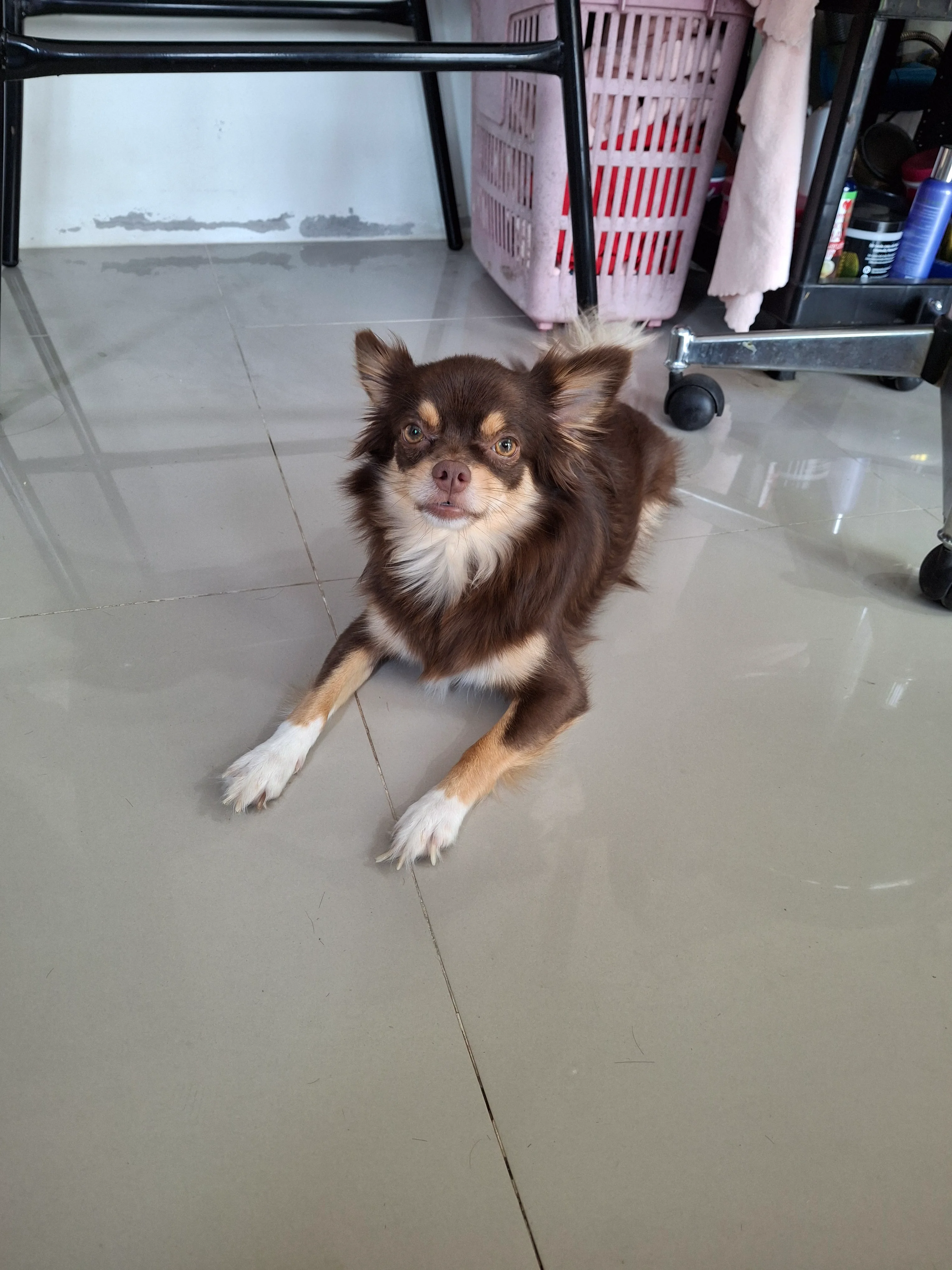 20250302_105411.webp