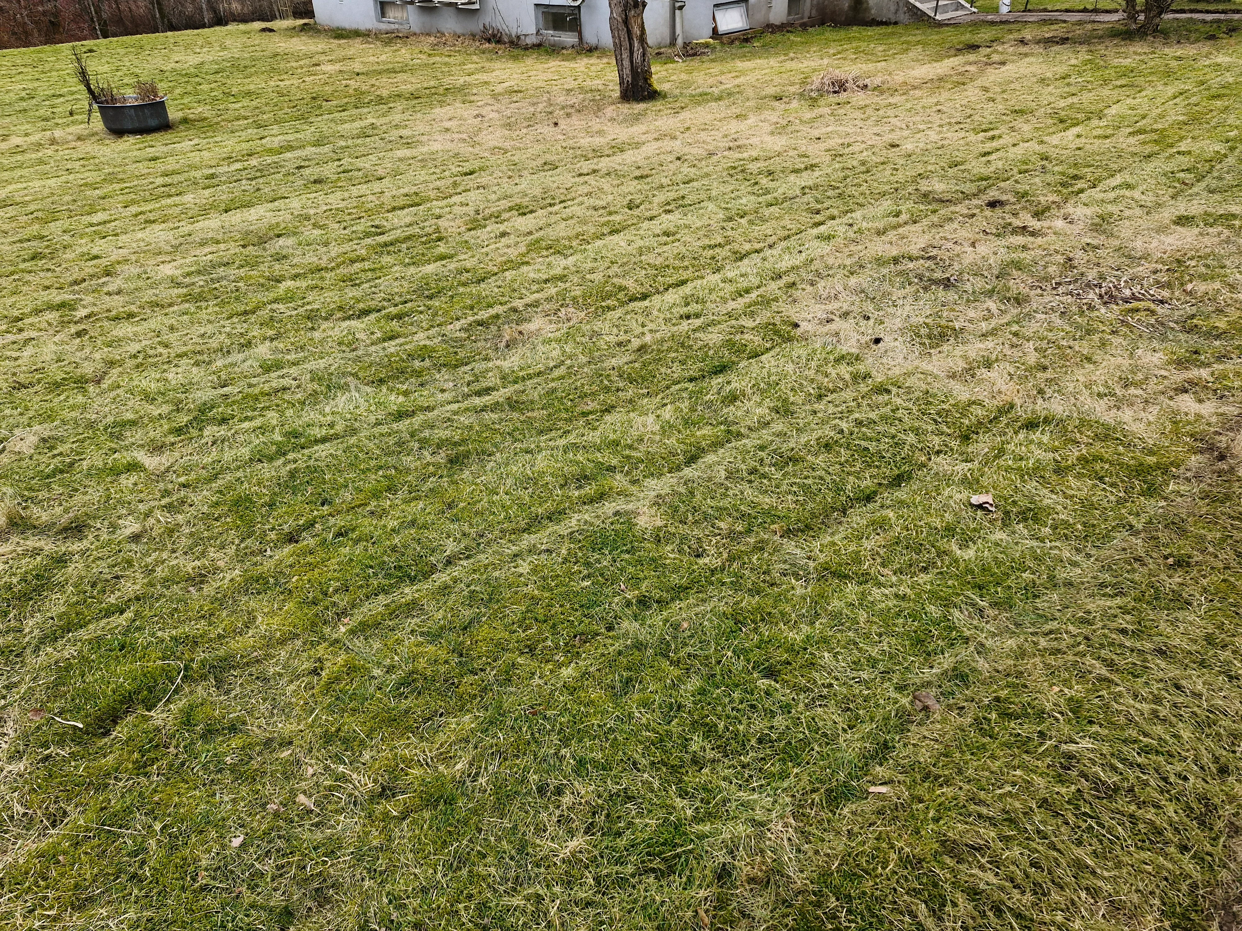 20250304_153356.webp