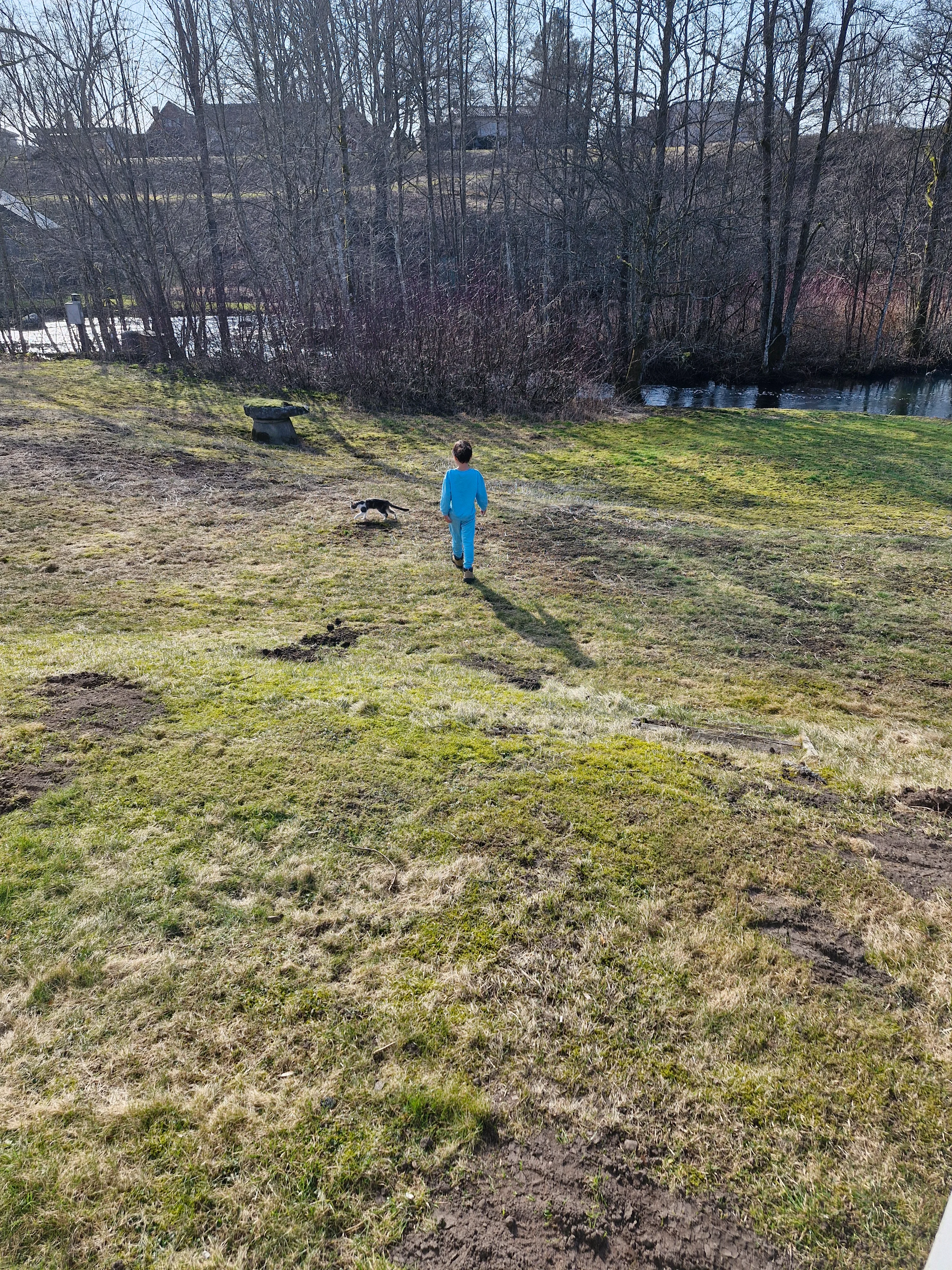 20250310_110521.webp