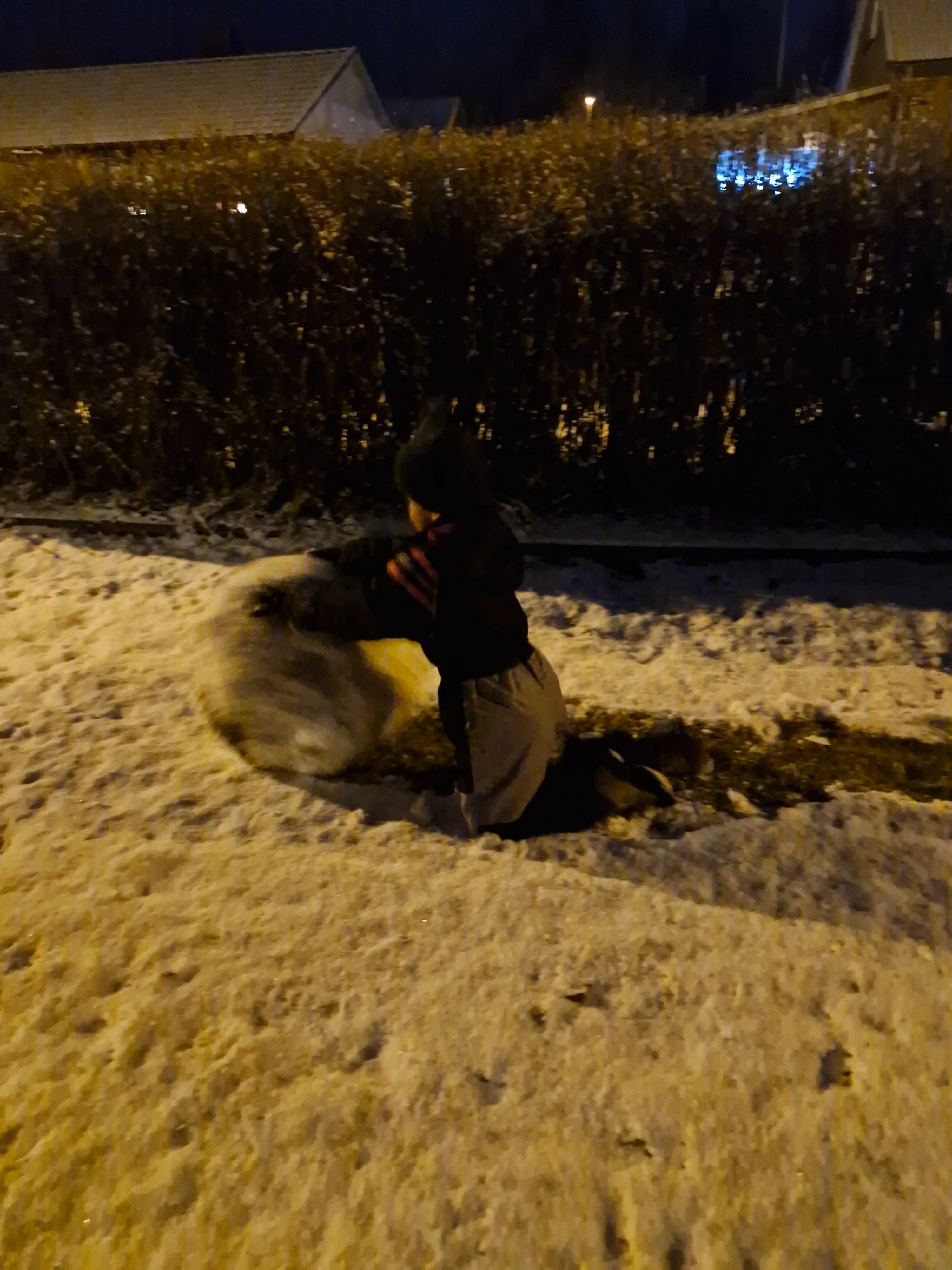 20250311_191254.webp