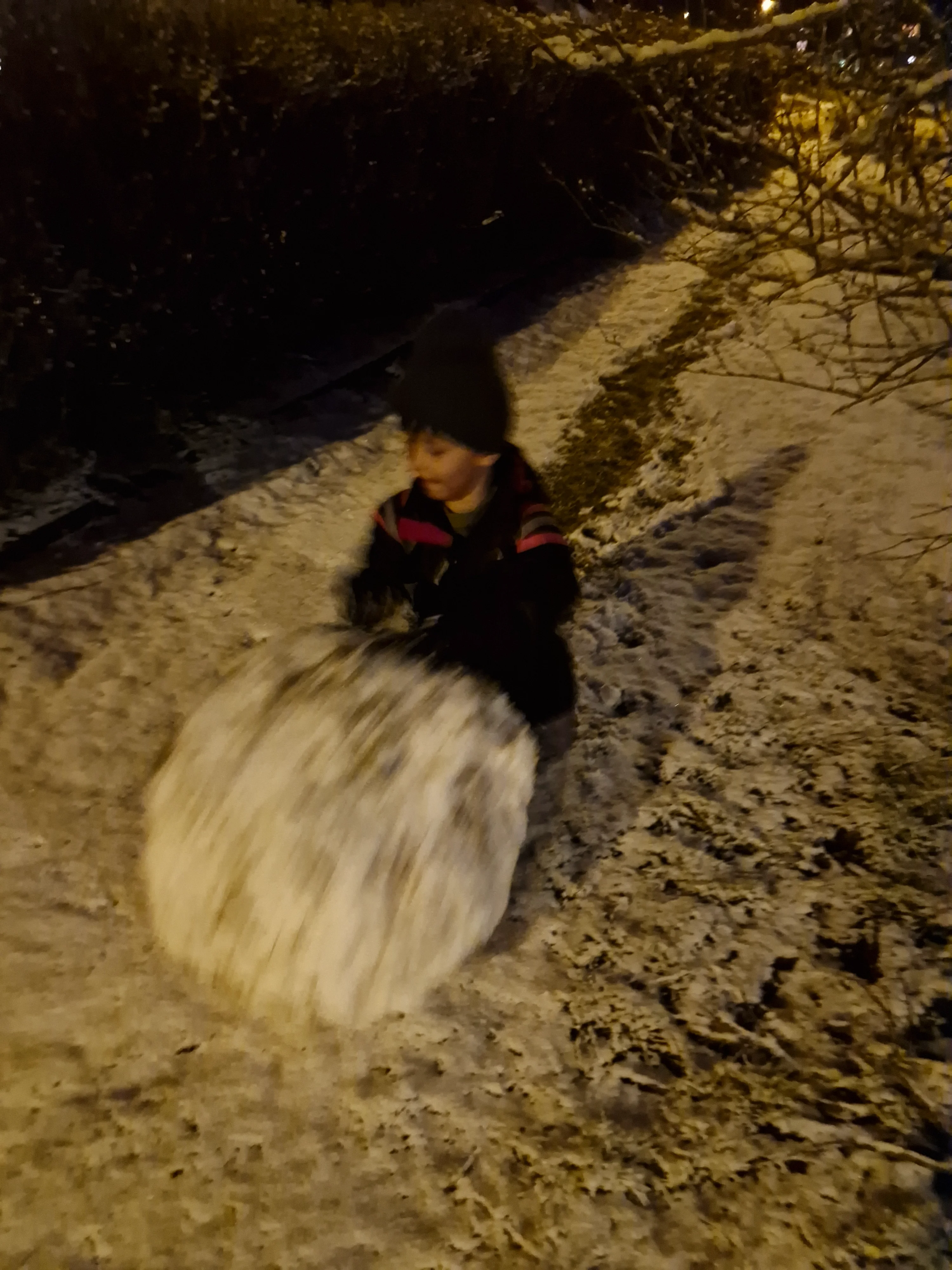 20250311_191306.webp