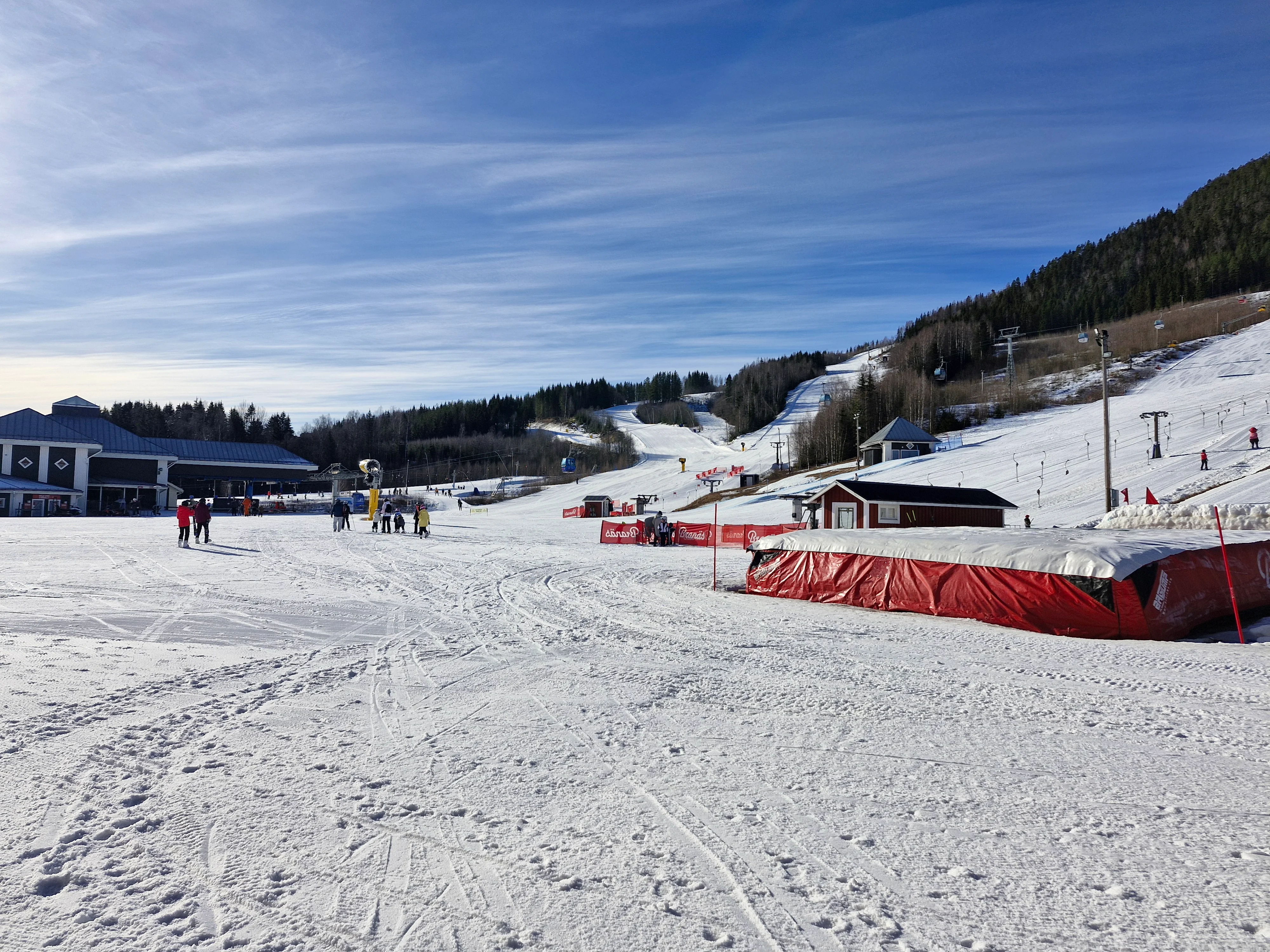 20250319_093155.webp