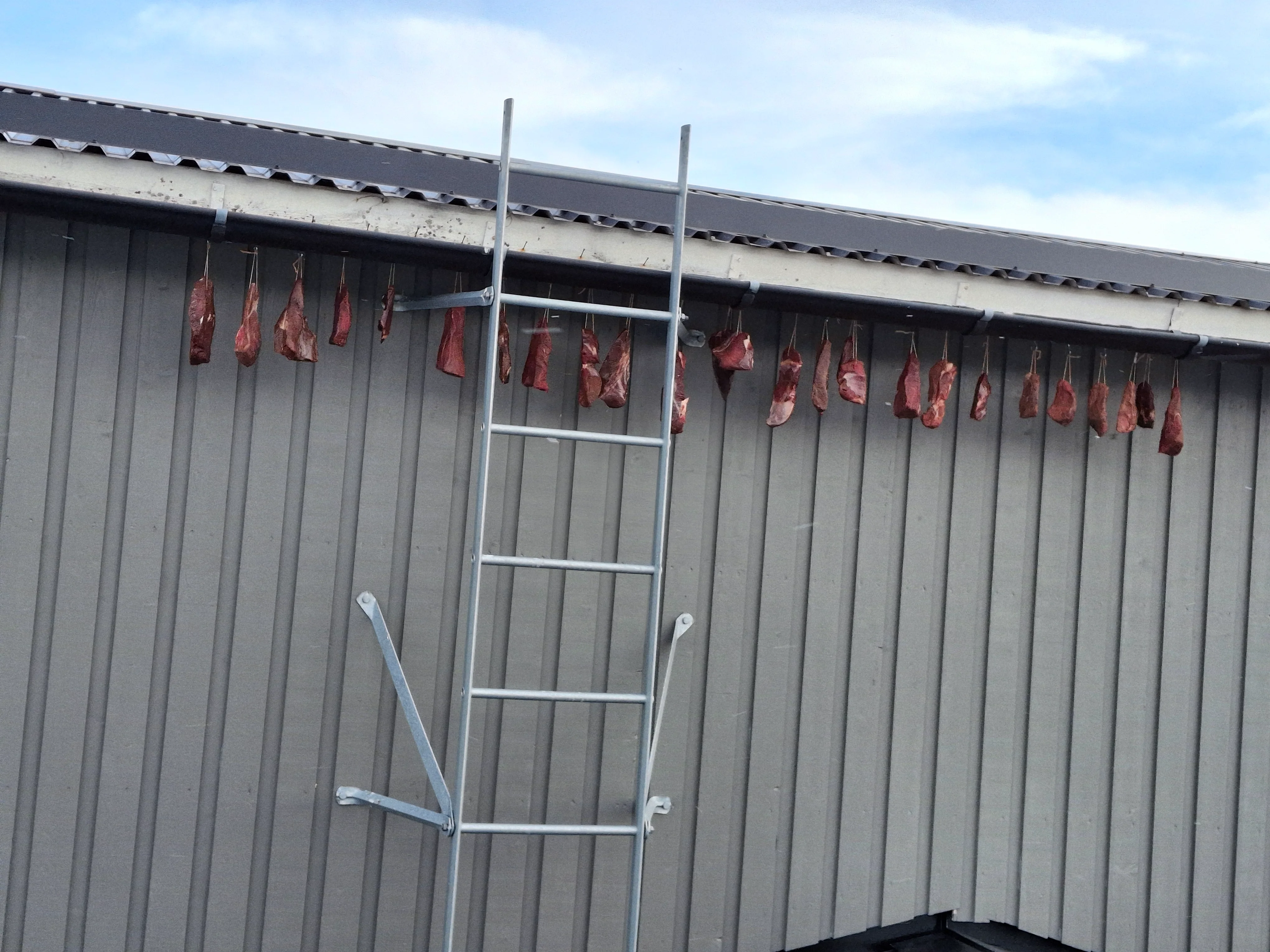 20250403_162328.webp
