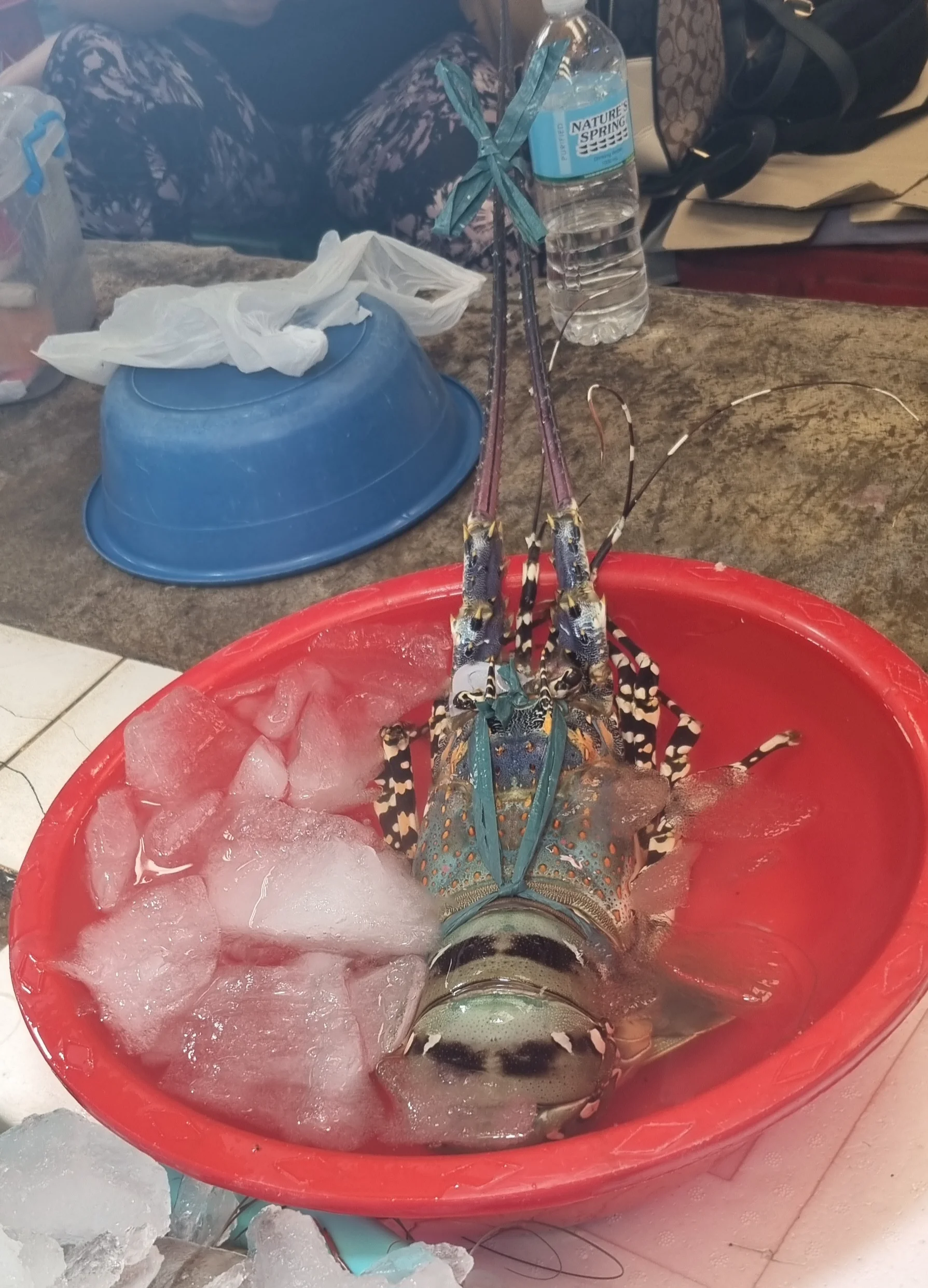 20250408_130102.webp