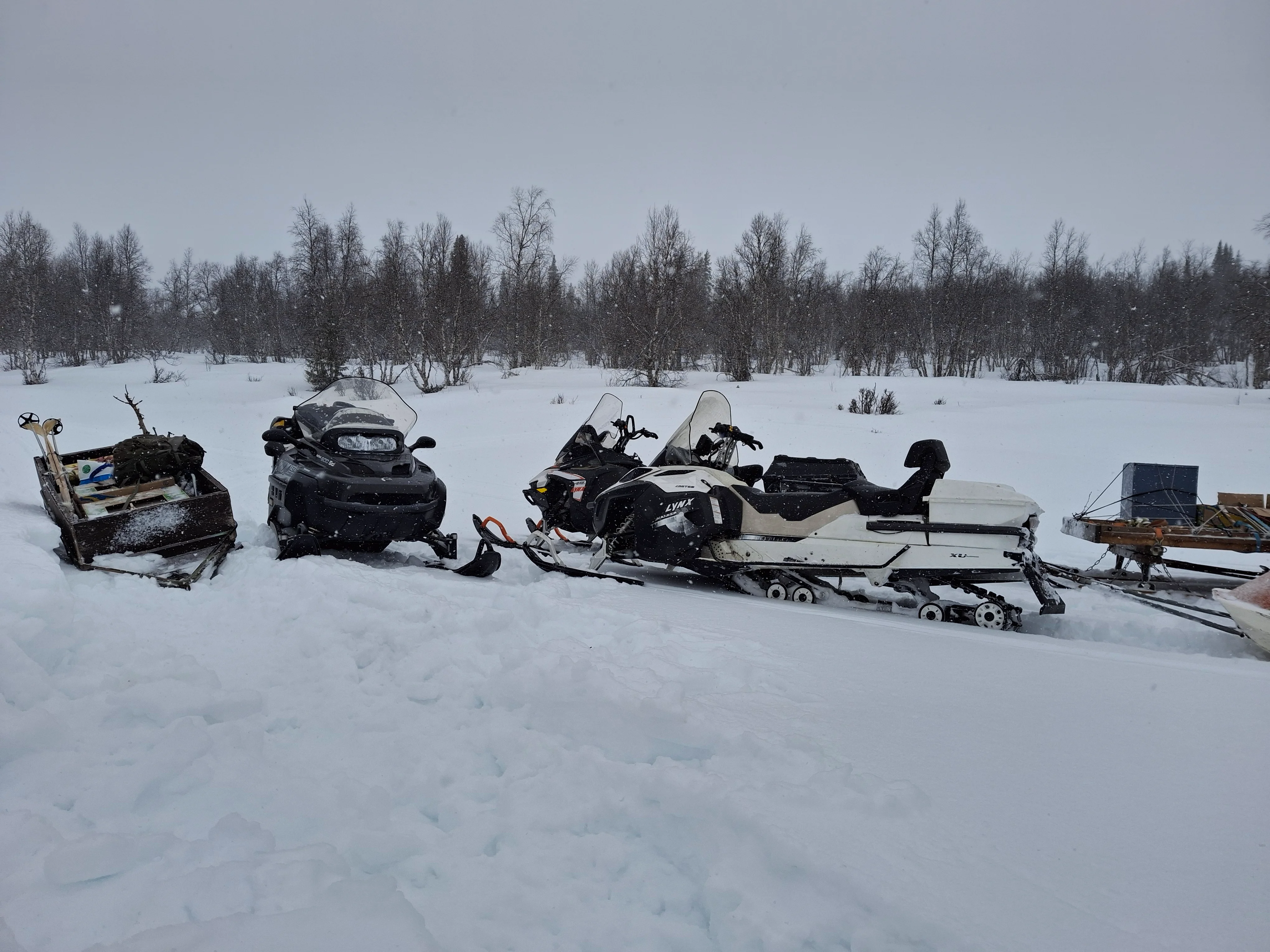 20250410_095738.webp