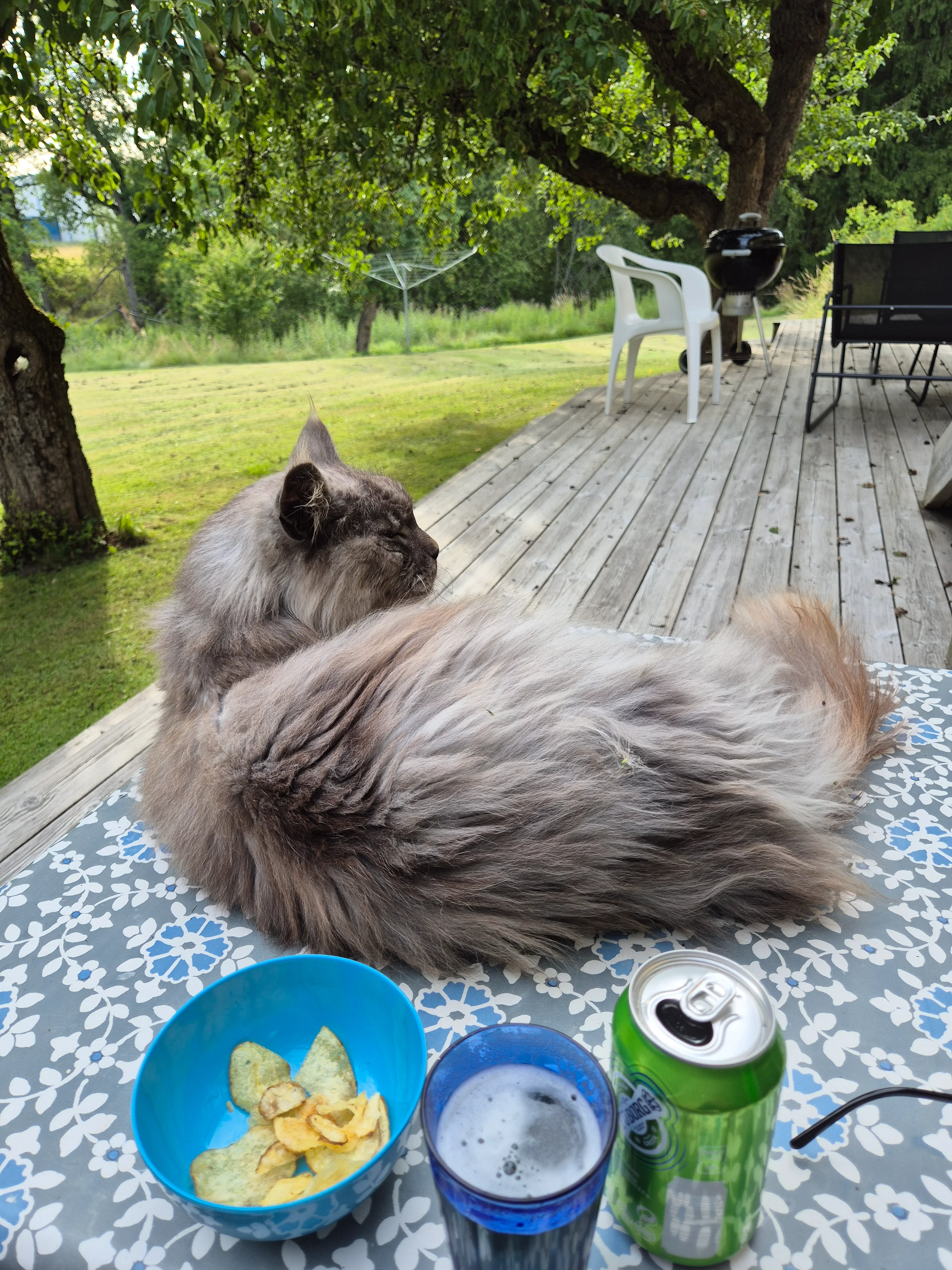 20250713_183034.webp